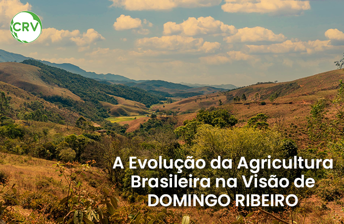 A evolução da agricultura brasileira na visão de Domingo Ribeiro