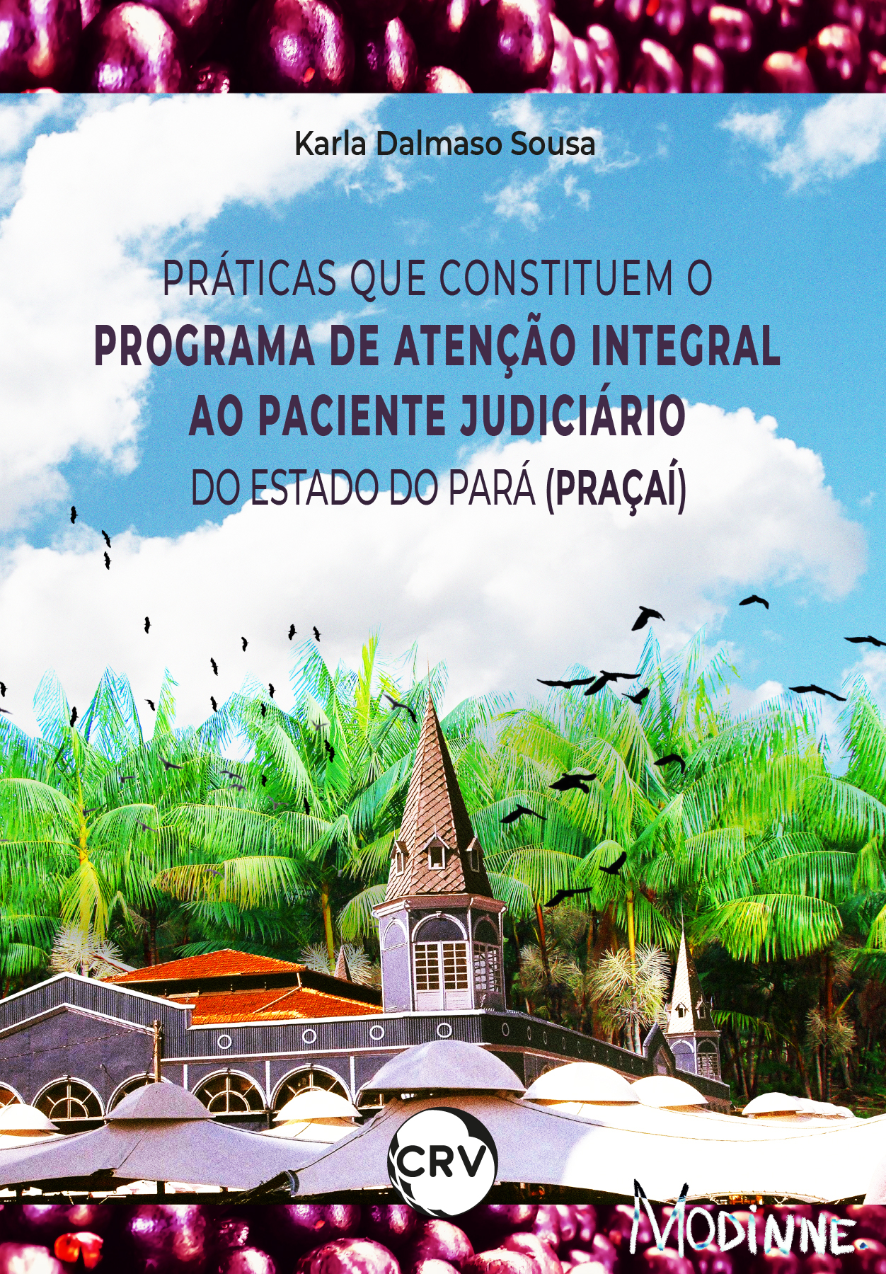 Capa do livro: Práticas que constituem o programa de atenção integral ao paciente judiciário do estado do Pará (Praçaí)