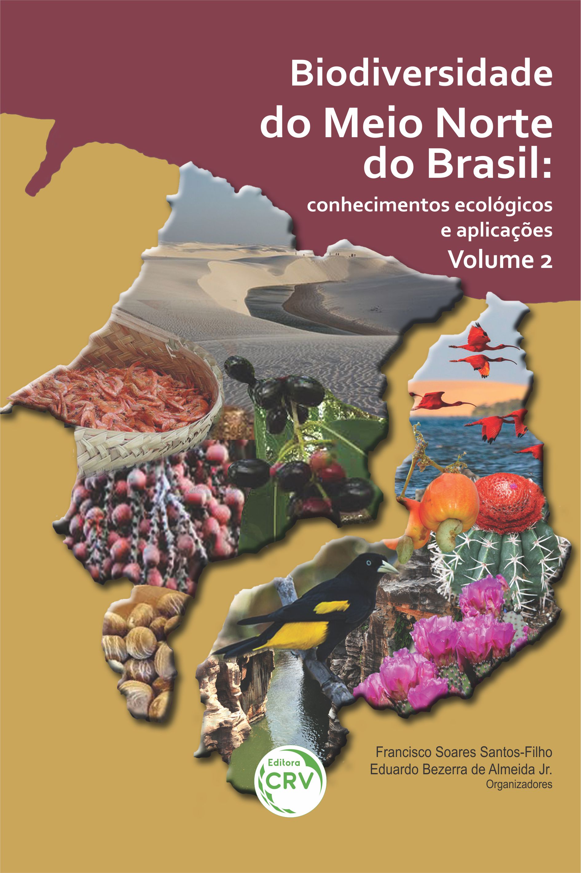 Capa do livro: BIODIVERSIDADE DO MEIO NORTE DO BRASIL: <br>conhecimentos ecológicos e aplicações Volume 2