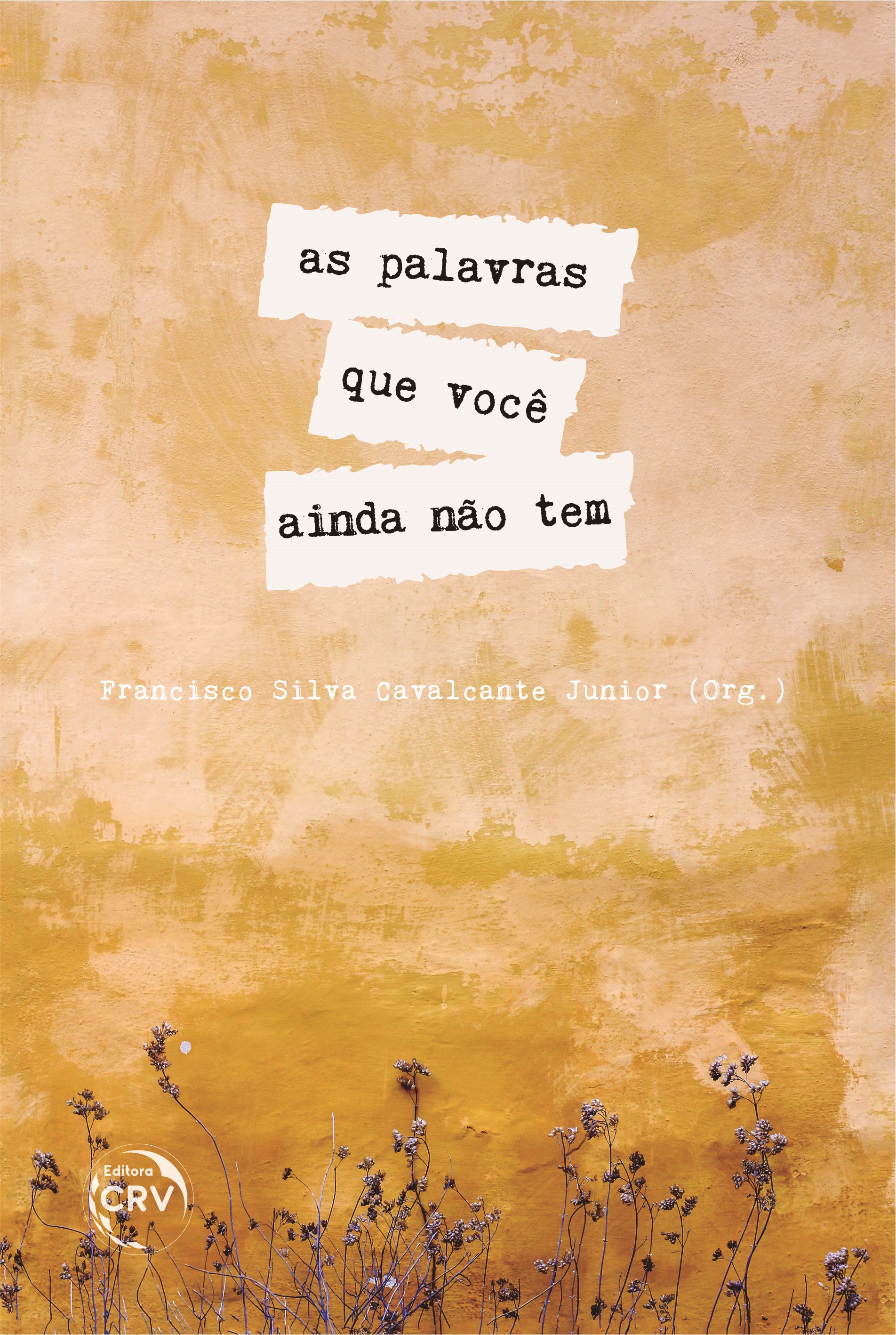 Capa do livro: AS PALAVRAS QUE VOCÊ AINDA NÃO TEM