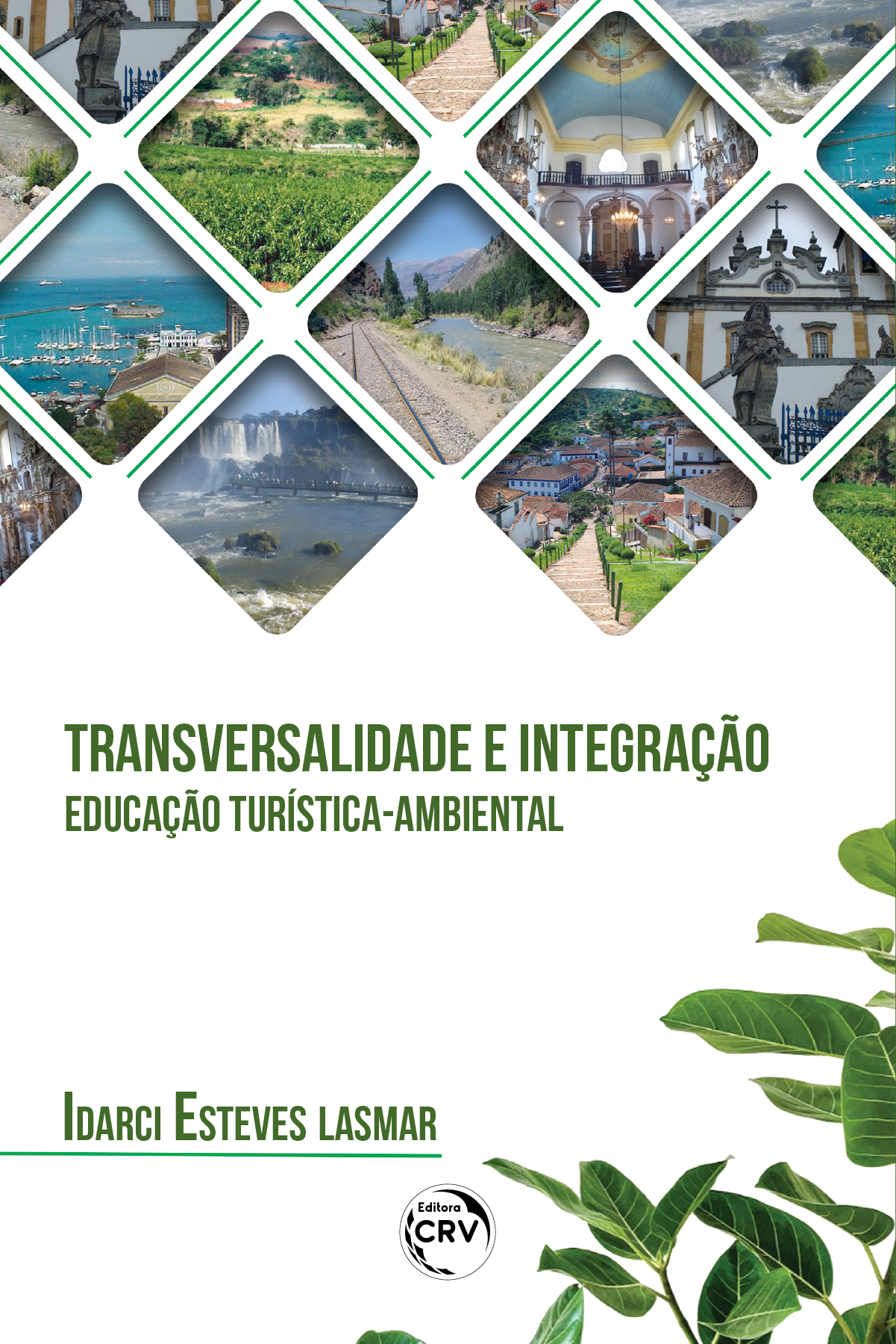 Capa do livro: Transversalidade e integração <BR> educação turística-ambiental