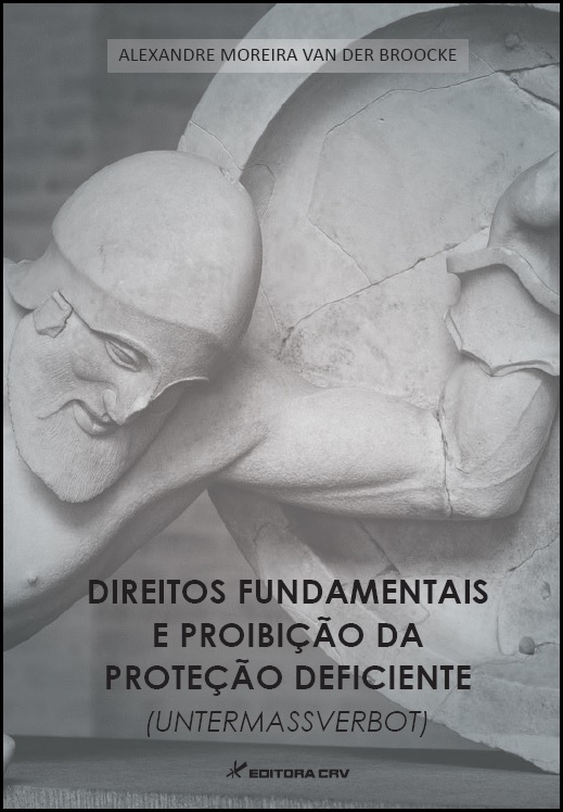 Capa do livro: DIREITOS FUNDAMENTAIS E PROIBIÇÃO DA PROTEÇÃO DEFICIENTE (UNTERMASSVERBOT)