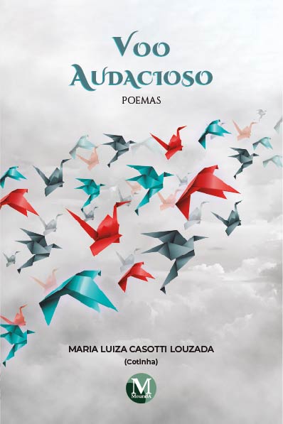 Capa do livro: VOO AUDACIOSO