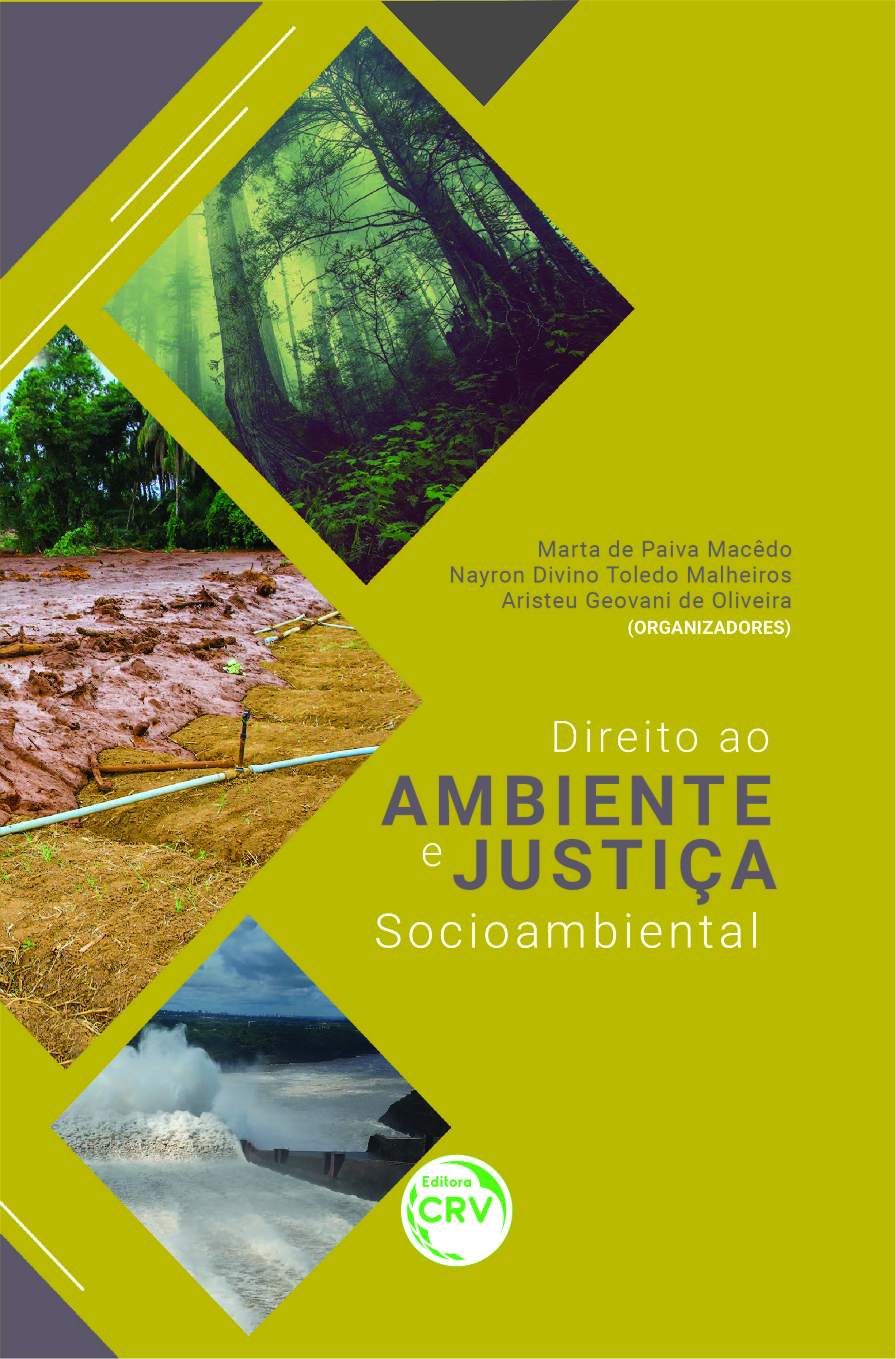 Capa do livro: DIREITO AO AMBIENTE E JUSTIÇA SOCIOAMBIENTAL