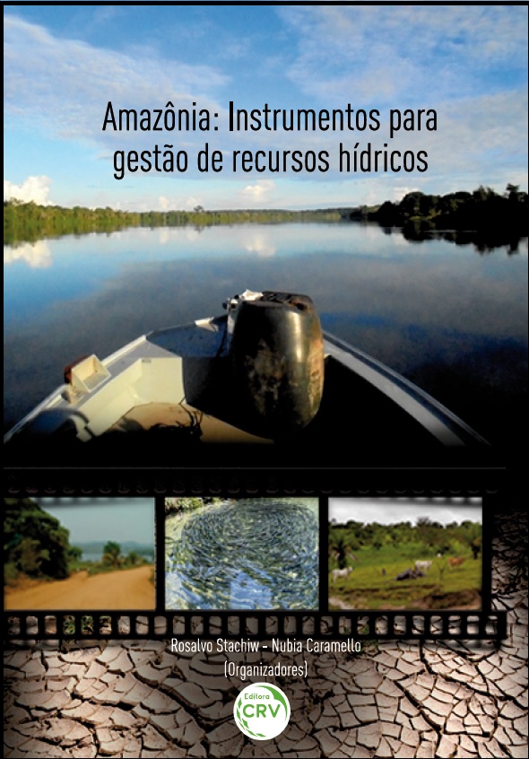 Capa do livro: AMAZÔNIA:<br>instrumentos para gestão de recursos hídricos