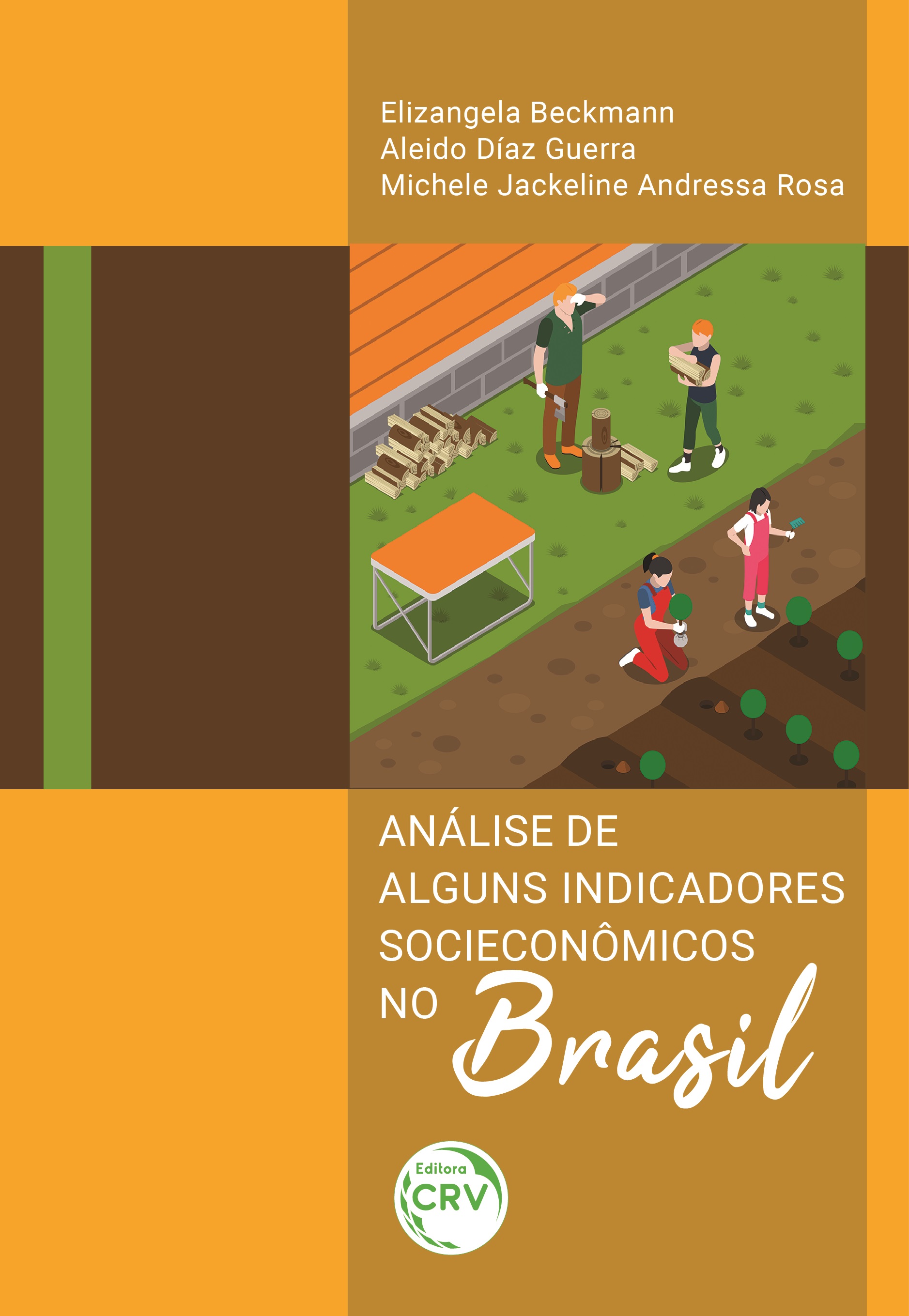 Capa do livro: ANÁLISE DE ALGUNS INDICADORES SOCIOECONÔMICOS NO BRASIL