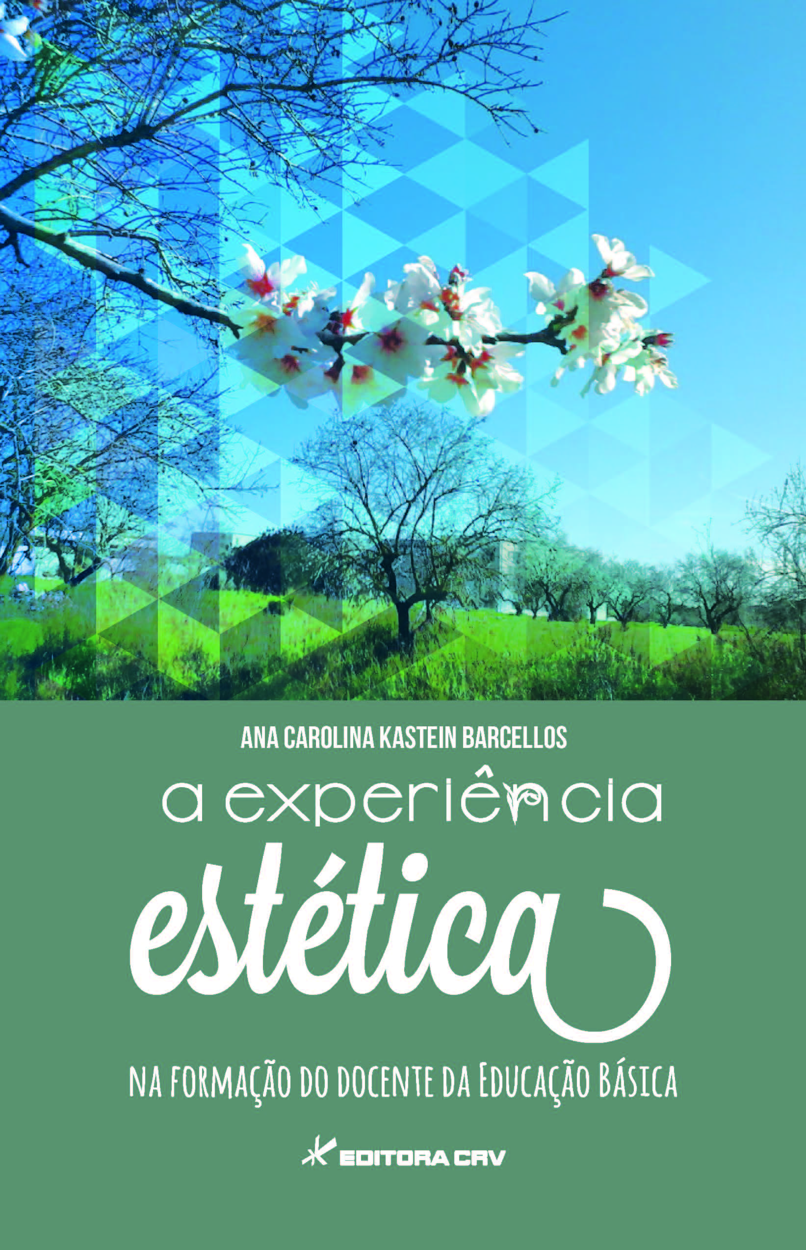 Capa do livro: A EXPERIÊNCIA ESTÉTICA NA FORMAÇÃO DO DOCENTE DA EDUCAÇÃO BÁSICA