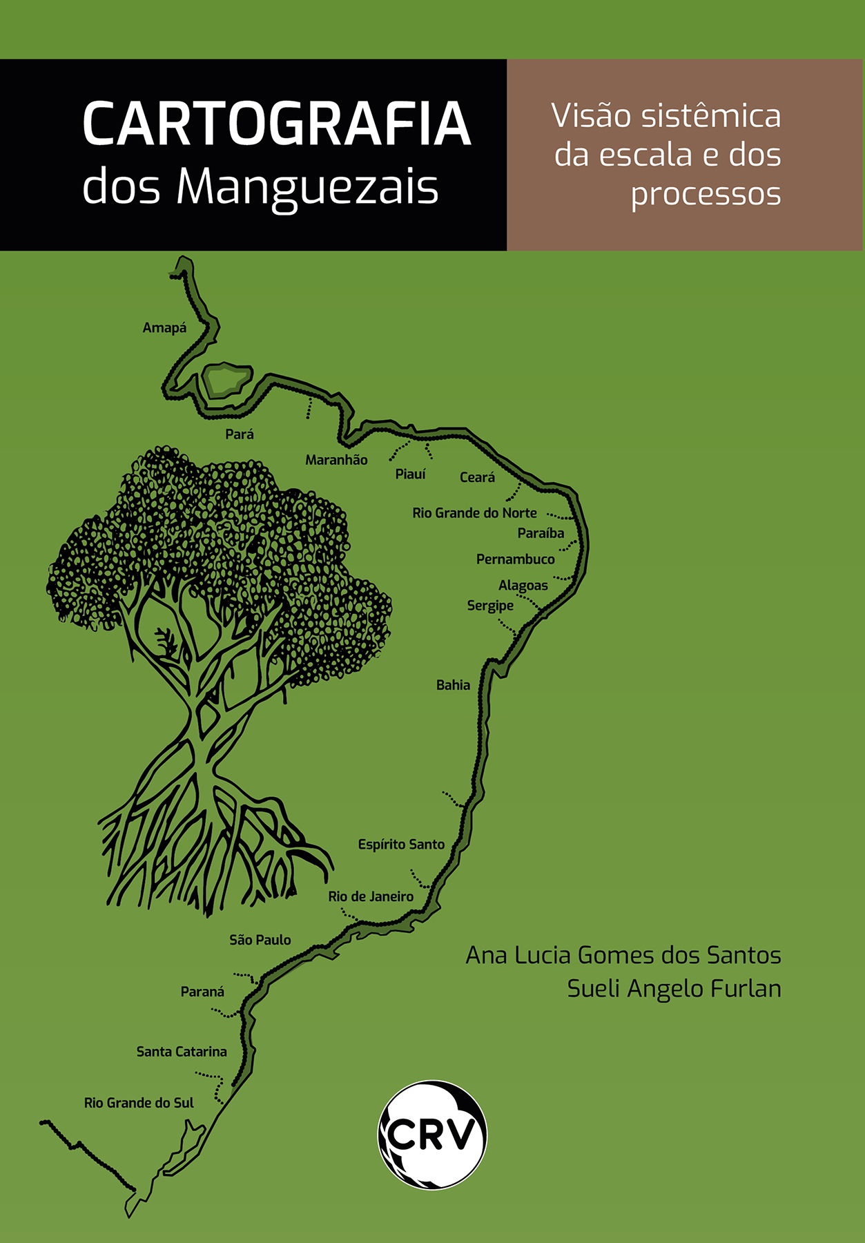 Capa do livro: Cartografia dos manguezais:<BR> Visão sistêmica da escala e dos processos