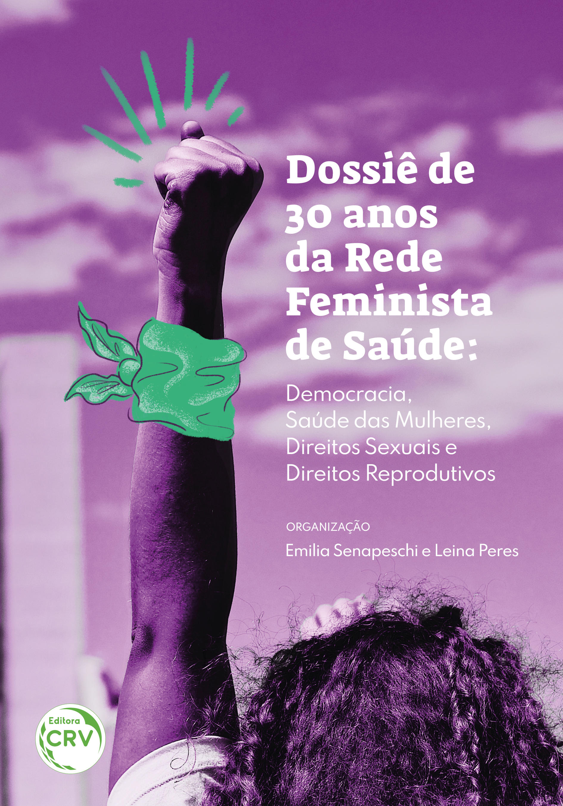 Capa do livro: DOSSIÊ DE 30 ANOS DA REDE FEMINISTA DE SAÚDE:<br> democracia, saúde das mulheres, direitos sexuais e direitos reprodutivos
