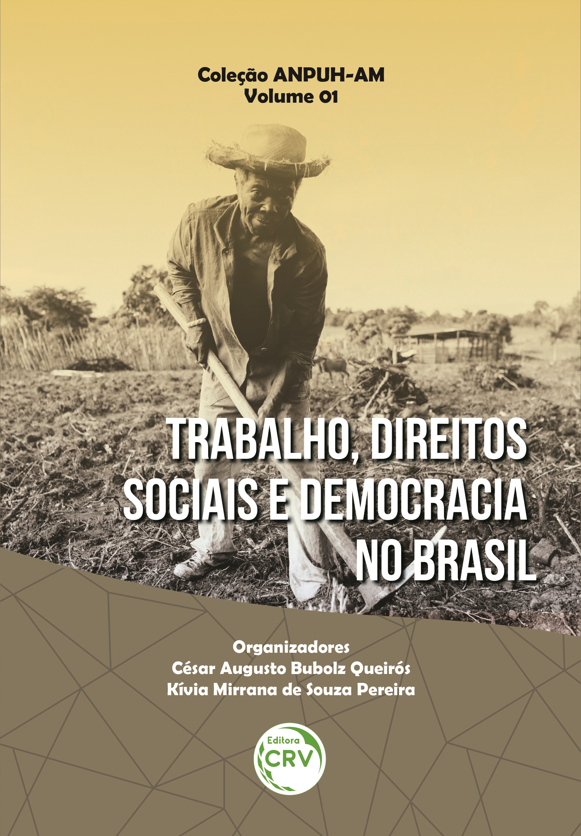 Capa do livro: TRABALHO, DIREITOS SOCIAIS E DEMOCRACIA NO BRASIL<br> Coleção ANPUH-AM<br> Volume 1