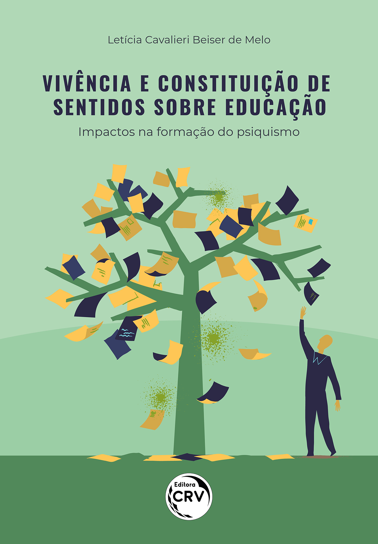 Capa do livro: Vivência e constituição de sentidos sobre a educação