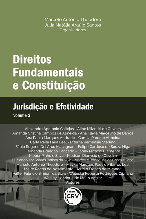 Capa do livro: DIREITOS FUNDAMENTAIS E CONSTITUIÇÃO: <br> Jurisdição e Efetividade <br> Volume 2