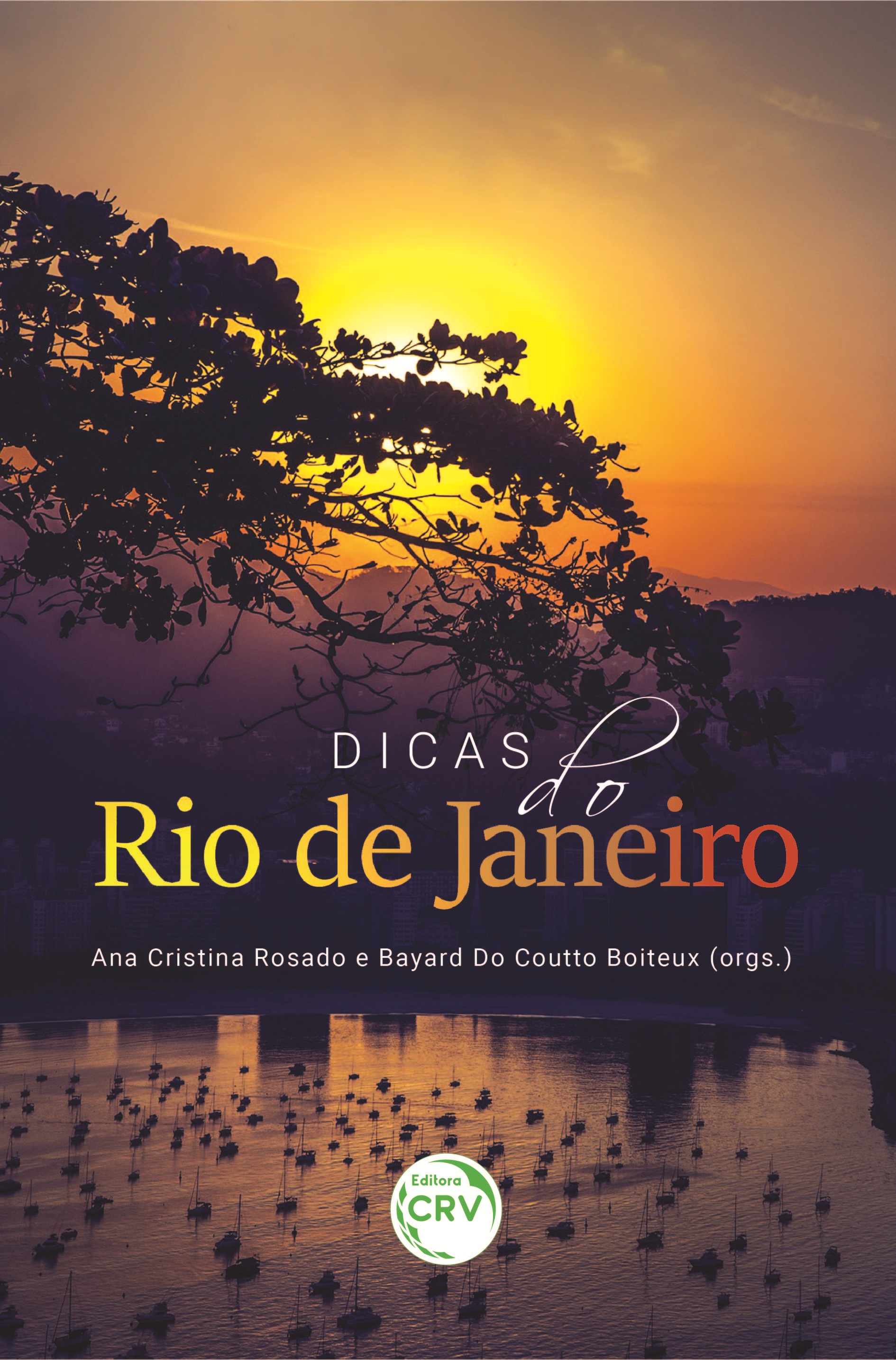 Capa do livro: Dicas do Rio de Janeiro
