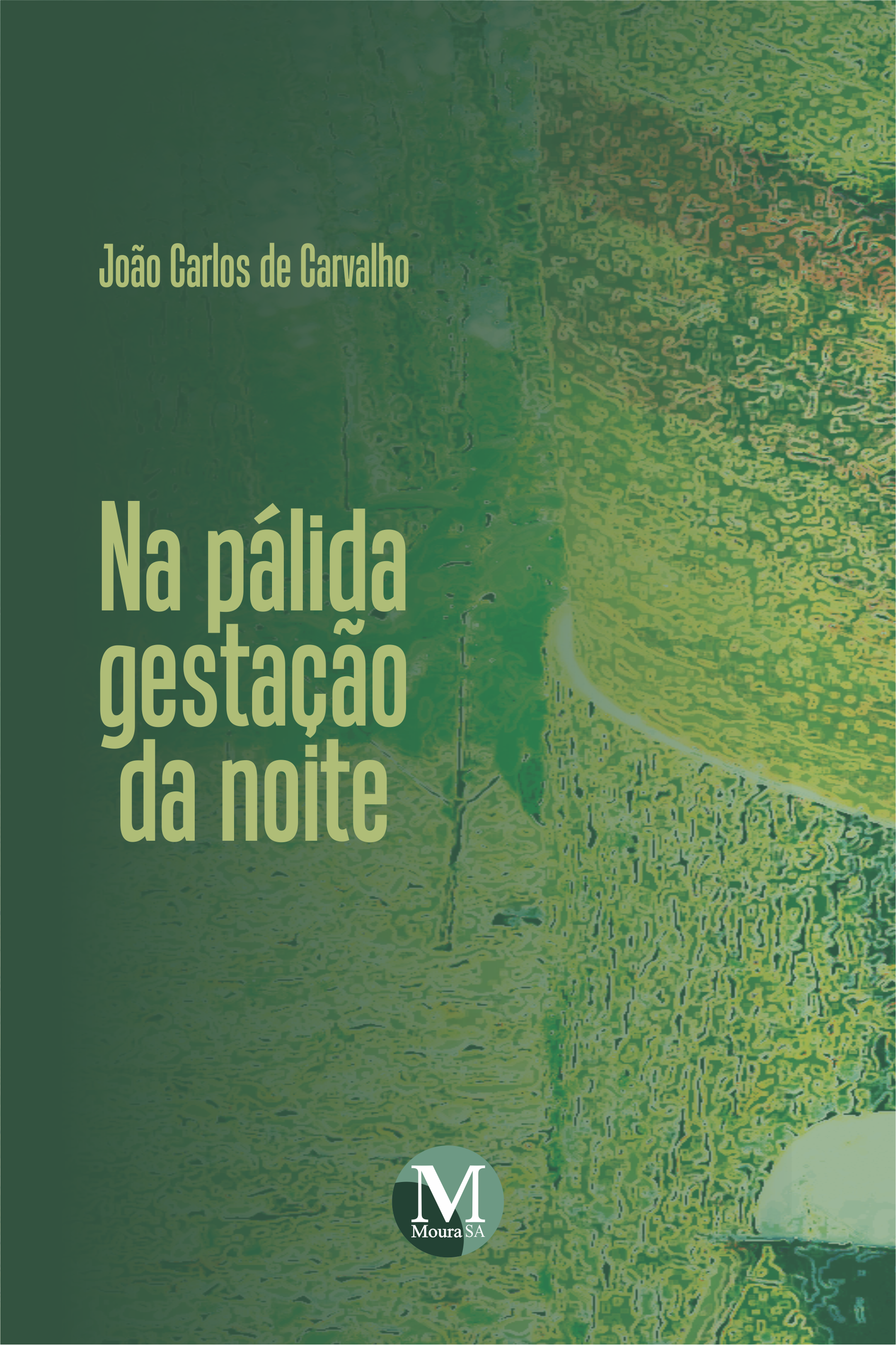 Capa do livro: NA PÁLIDA GESTAÇÃO DA NOITE