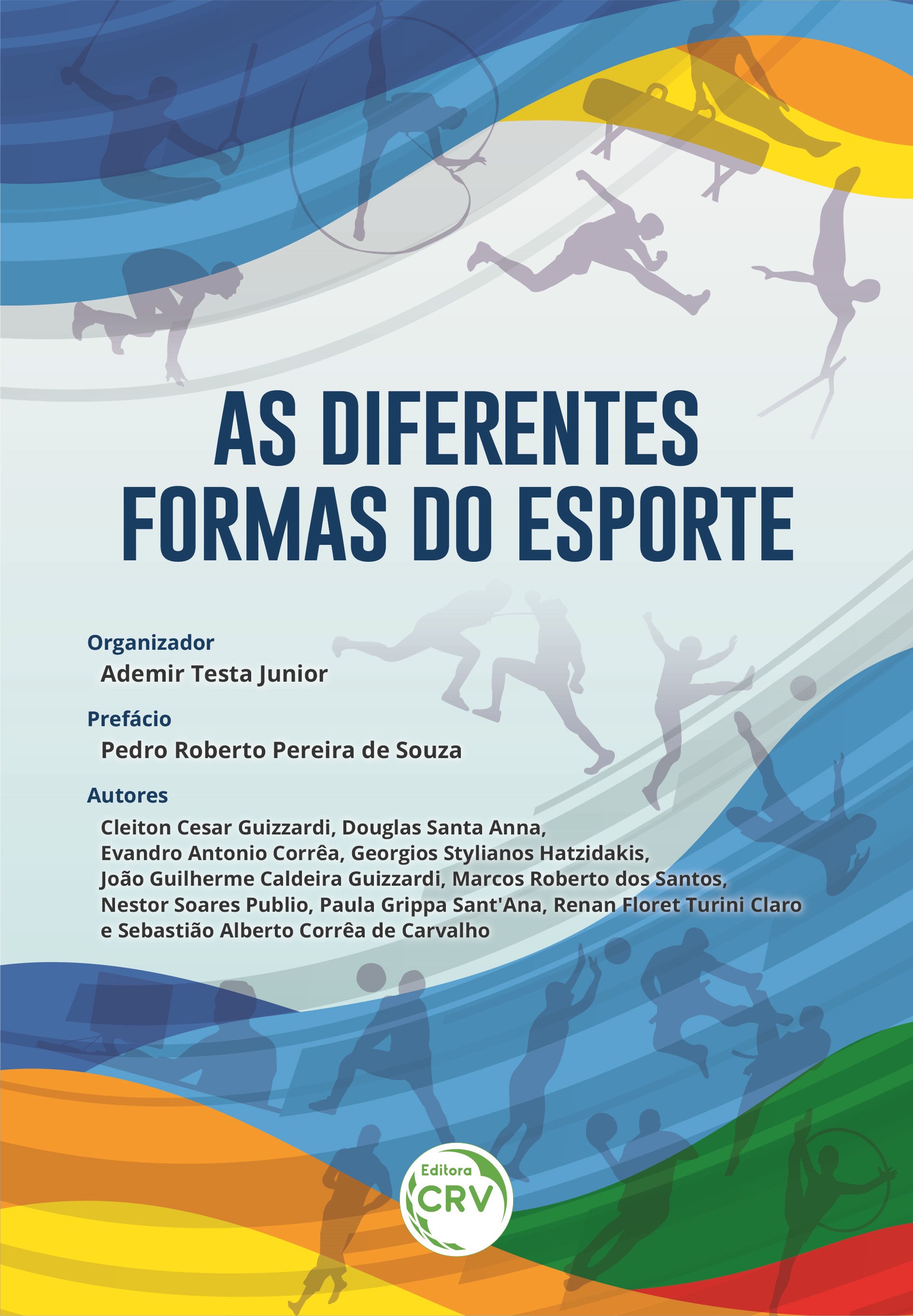 Capa do livro: AS DIFERENTES FORMAS DO ESPORTE