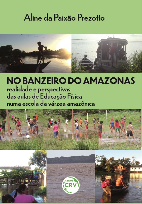 Capa do livro: NO BANZEIRO DO AMAZONAS:<br> realidade e perspectivas das aulas de Educação Física numa escola da várzea amazônica