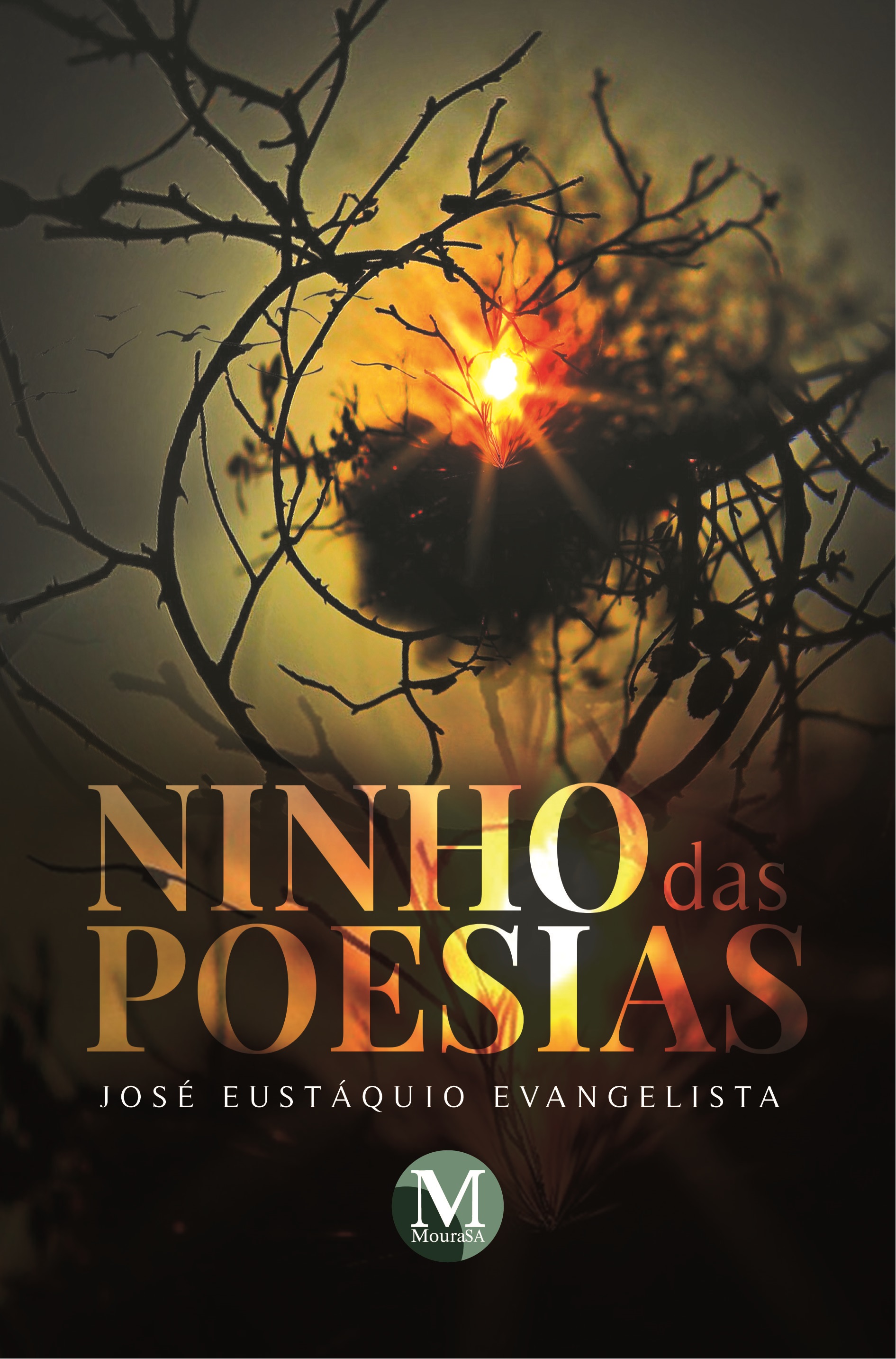 Capa do livro: Ninho das Poesias