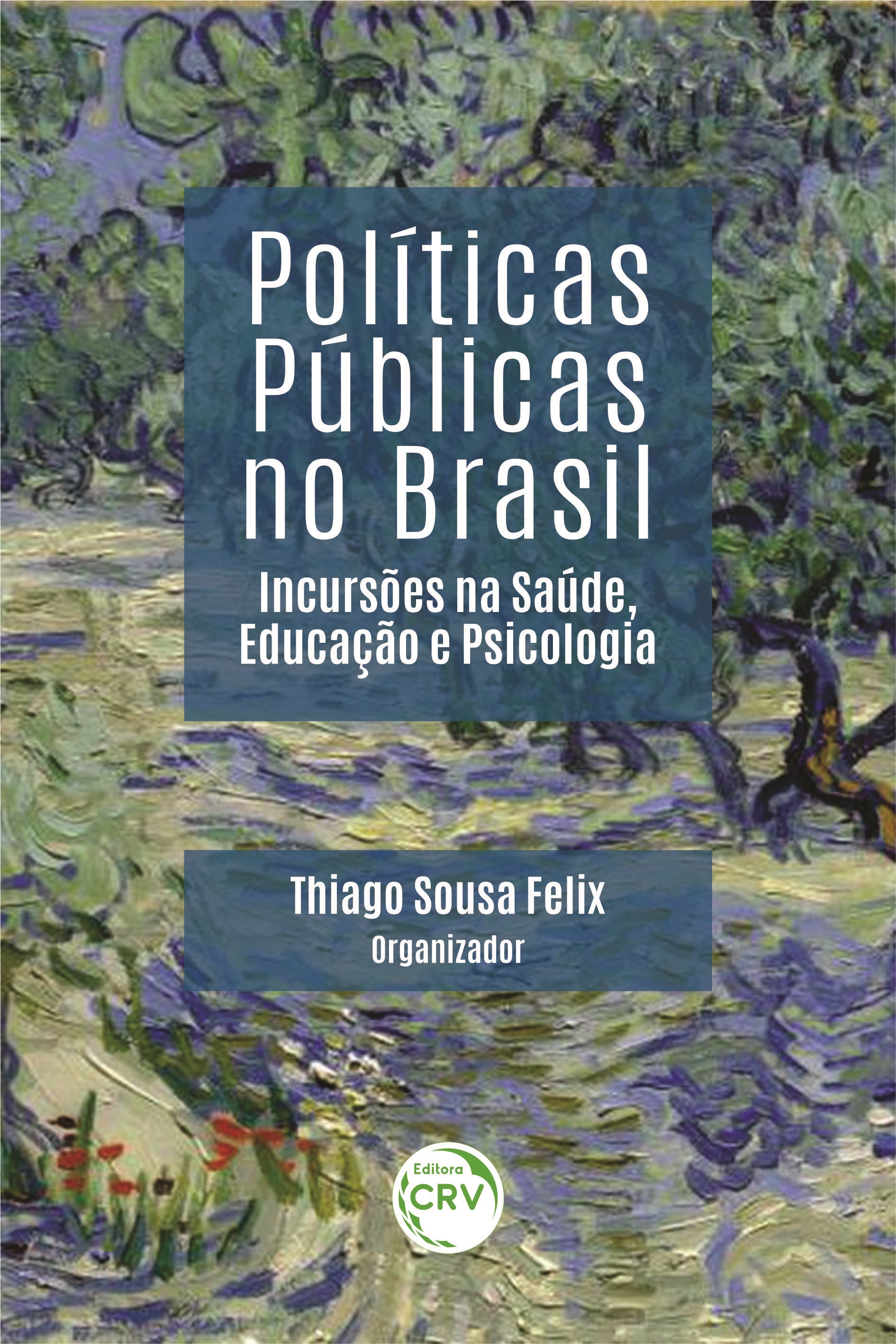 Capa do livro: POLÍTICAS PÚBLICAS NO BRASIL:<br> incursões na Saúde, Educação e Psicologia