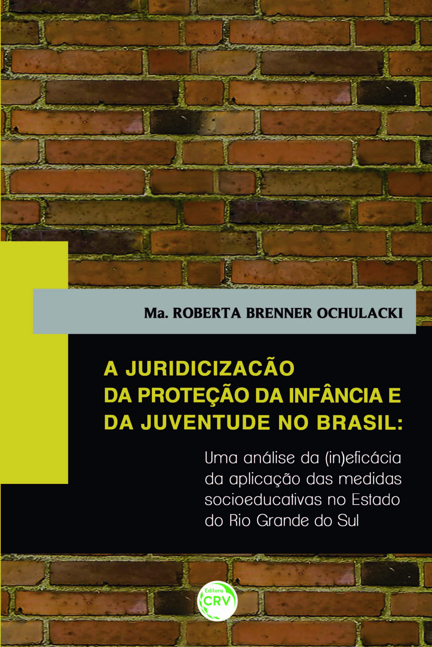 Capa do livro: A JURIDICIZAÇÃO DA PROTEÇÃO DA INFÂNCIA E DA JUVENTUDE NO BRASIL:<br>uma análise da (in)eficácia da aplicação das medidas socioeducativas no estado do Rio Grande do Sul 