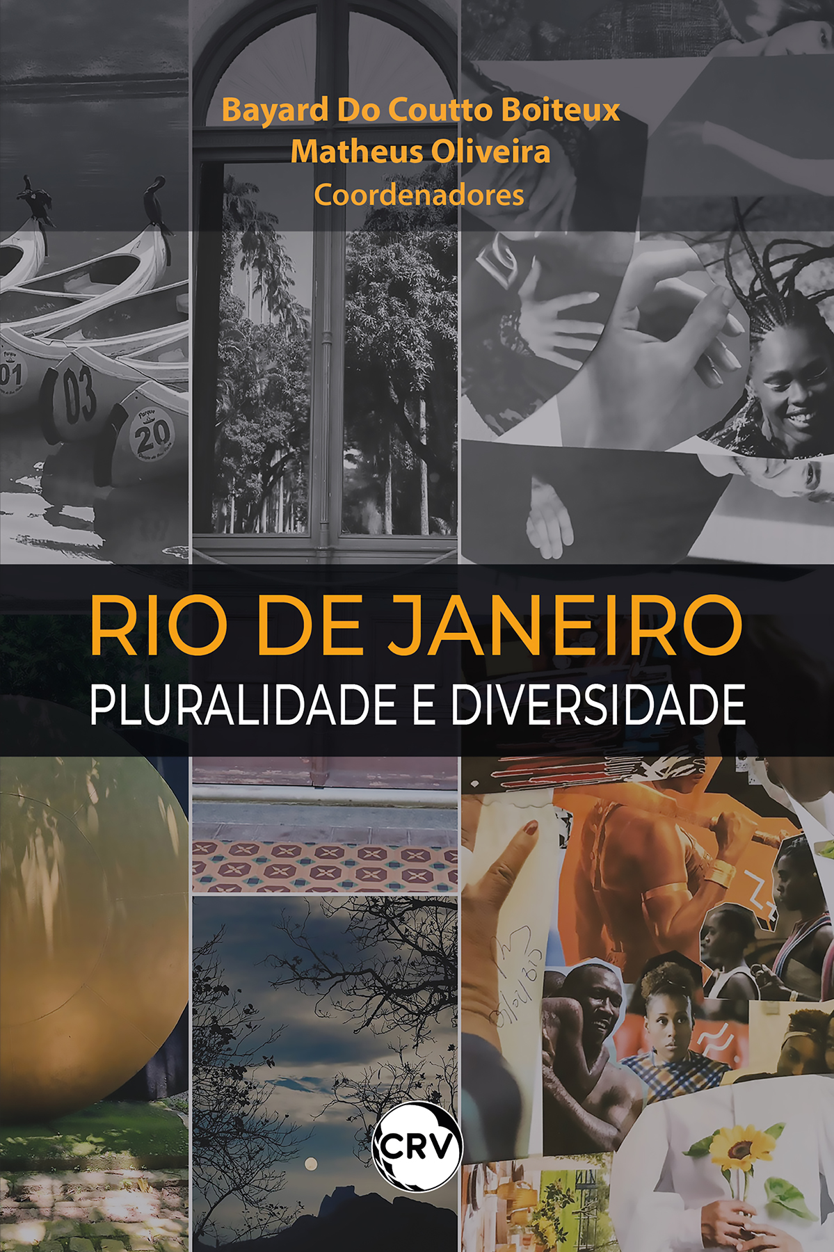 Capa do livro: Rio de Janeiro:<br> Pluralidade e diversidade
