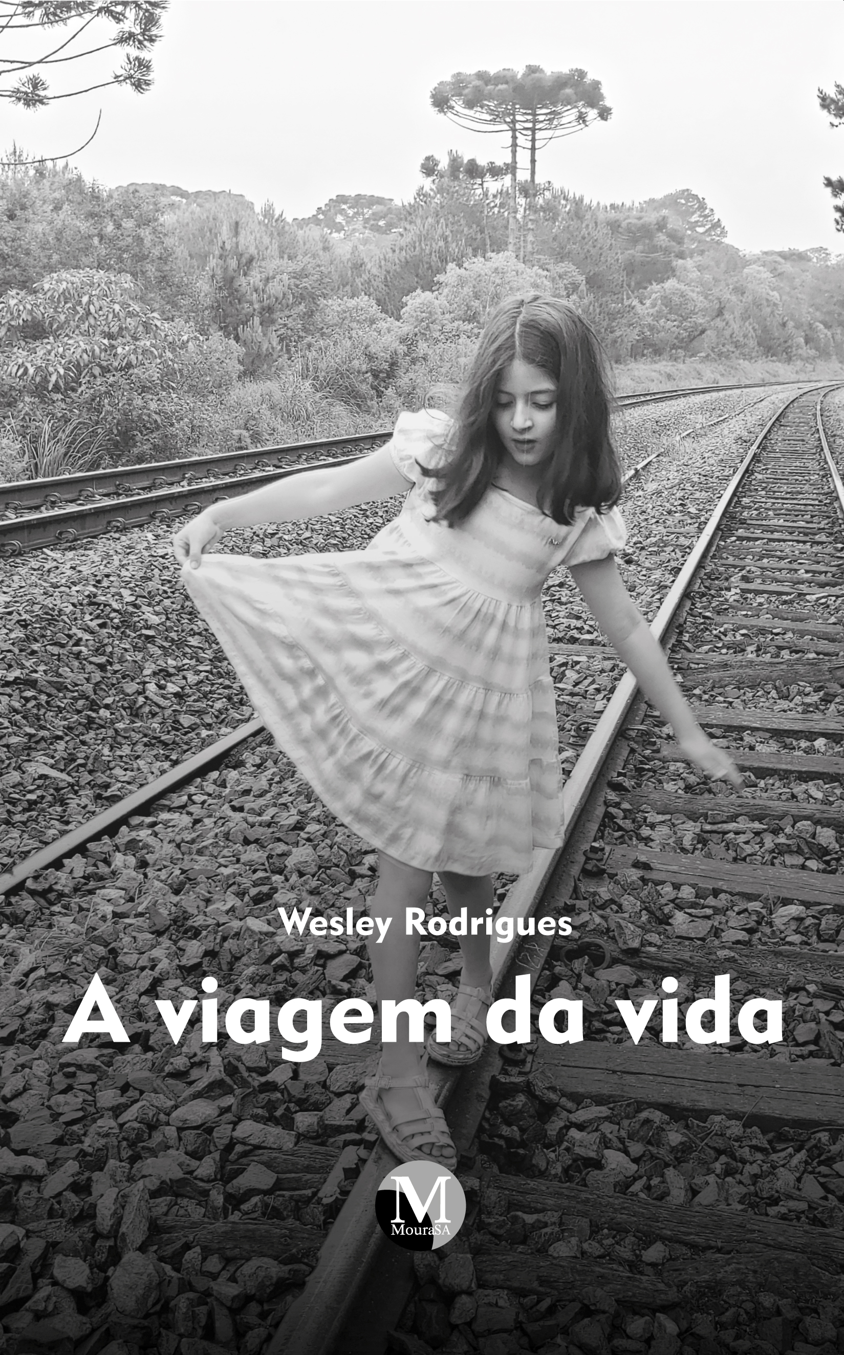 Capa do livro: A viagem da vida