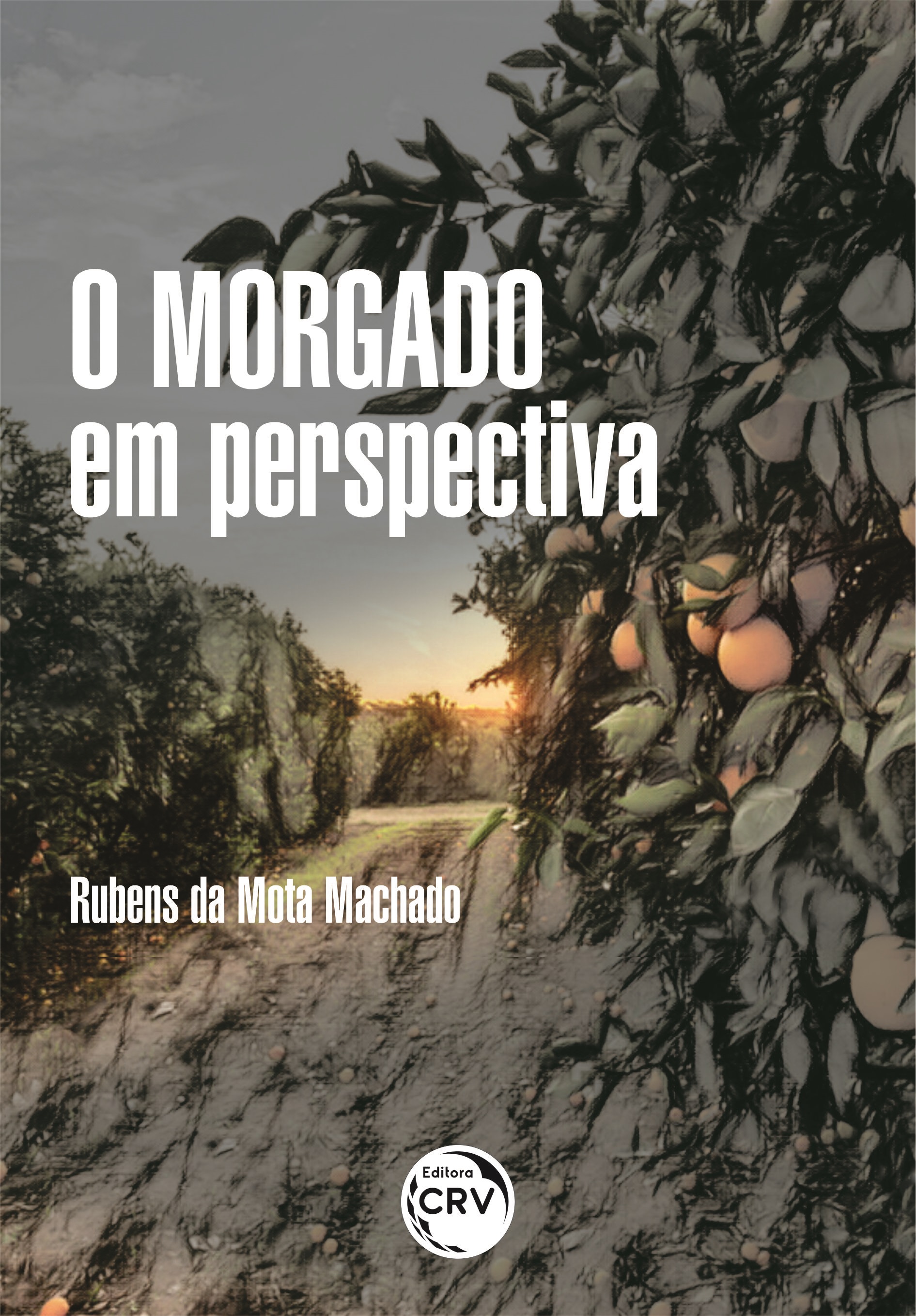 Capa do livro: O MORGADO EM PERSPECTIVA:<br> a política administrativa em torno das terras do antigo do Morgado de Marapicú (1772 – 1940)