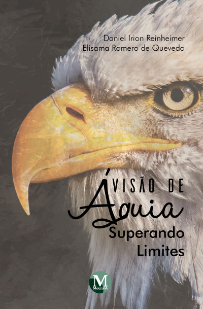 Capa do livro: VISÃO DE ÁGUIA:<br> superando limites