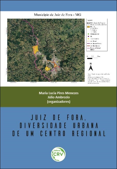 Capa do livro: JUIZ DE FORA, DIVERSIDADE URBANA DE UM CENTRO REGIONAL