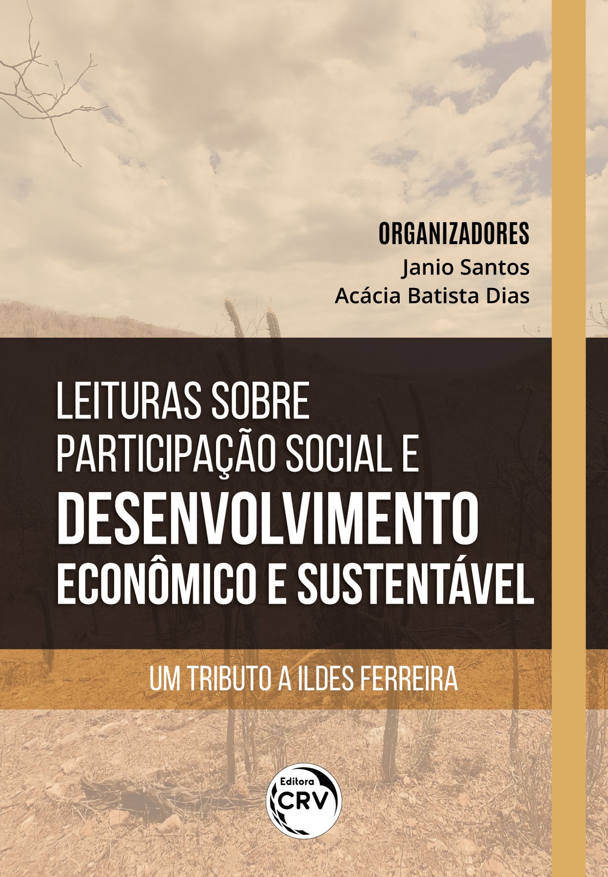 Capa do livro: LEITURAS SOBRE PARTICIPAÇÃO SOCIAL E DESENVOLVIMENTO ECONÔMICO E SUSTENTÁVEL:<br> um tributo a Ildes Ferreira