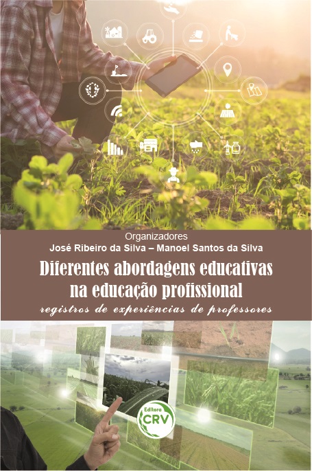 Capa do livro: DIFERENTES ABORDAGENS EDUCATIVAS NA EDUCAÇÃO PROFISSIONAL: <BR>registros de experiências de professores