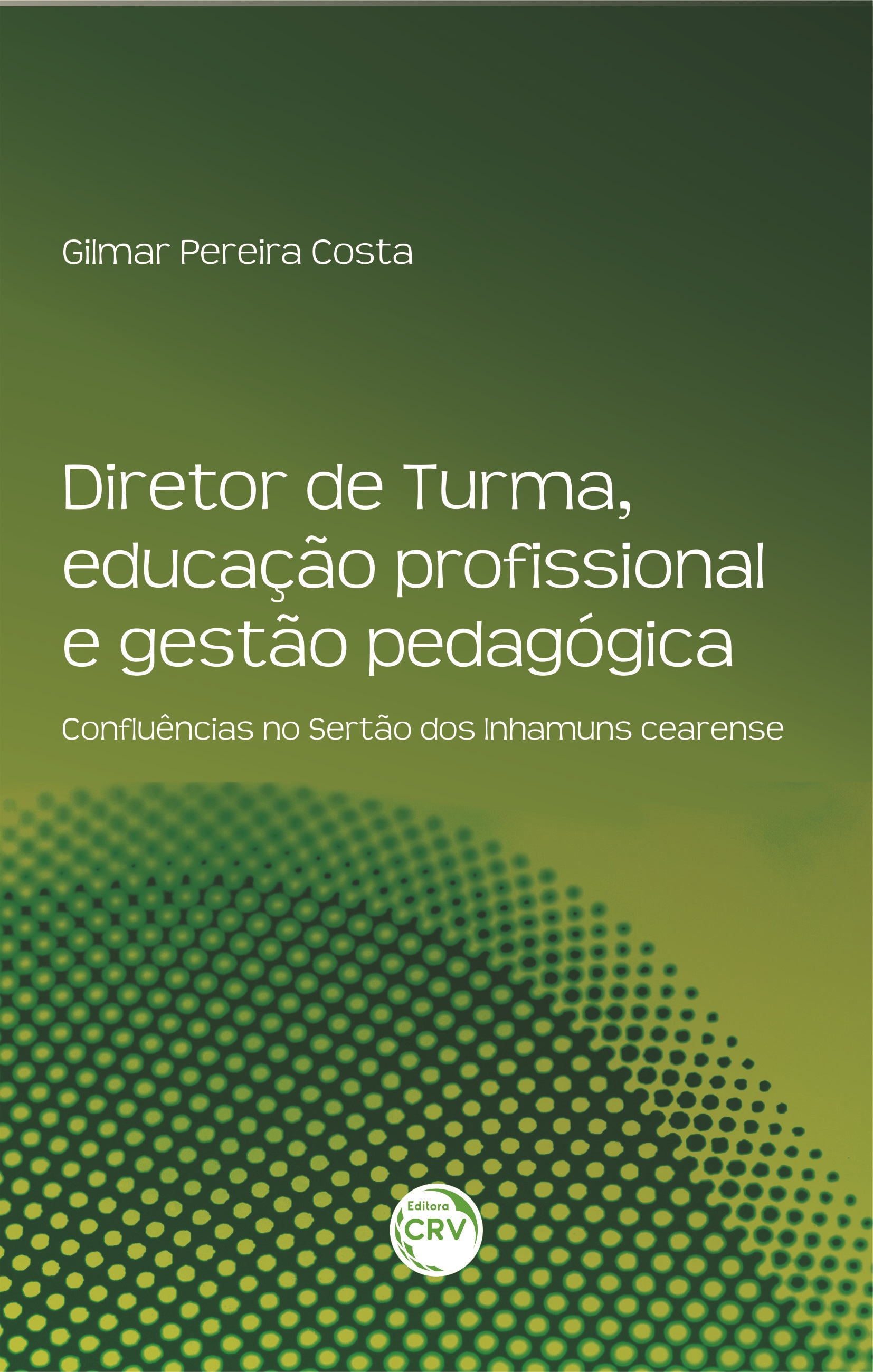 Capa do livro: DIRETOR DE TURMA, EDUCAÇÃO PROFISSIONAL E GESTÃO PEDAGÓGICA:  <br>confluências no Sertão dos Inhamuns cearense