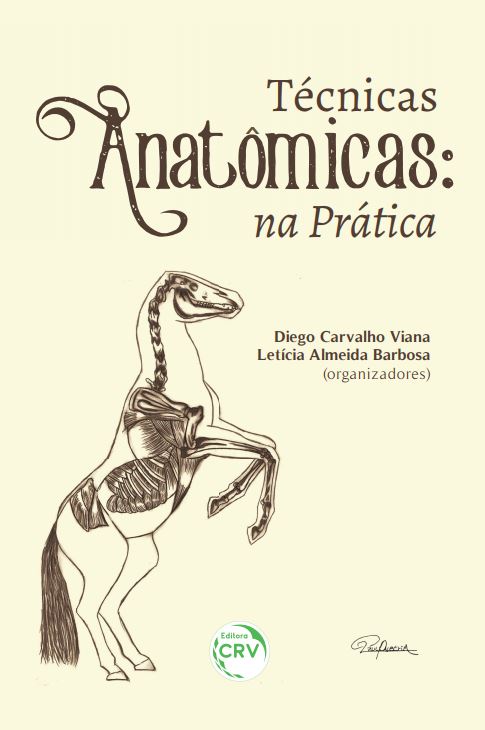 Capa do livro: TÉCNICAS ANATÔMICAS NA PRÁTICA <br>Volume 2