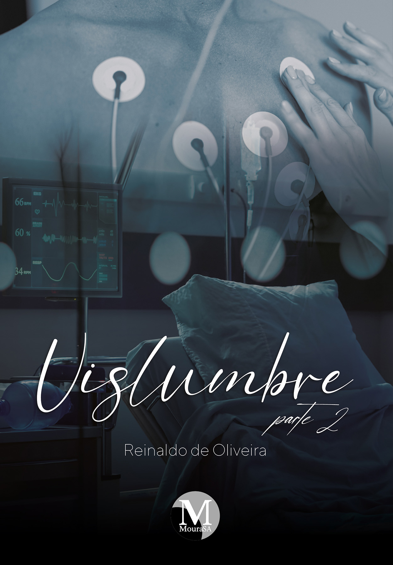 Capa do livro: VISLUMBRE <BR> PARTE 2