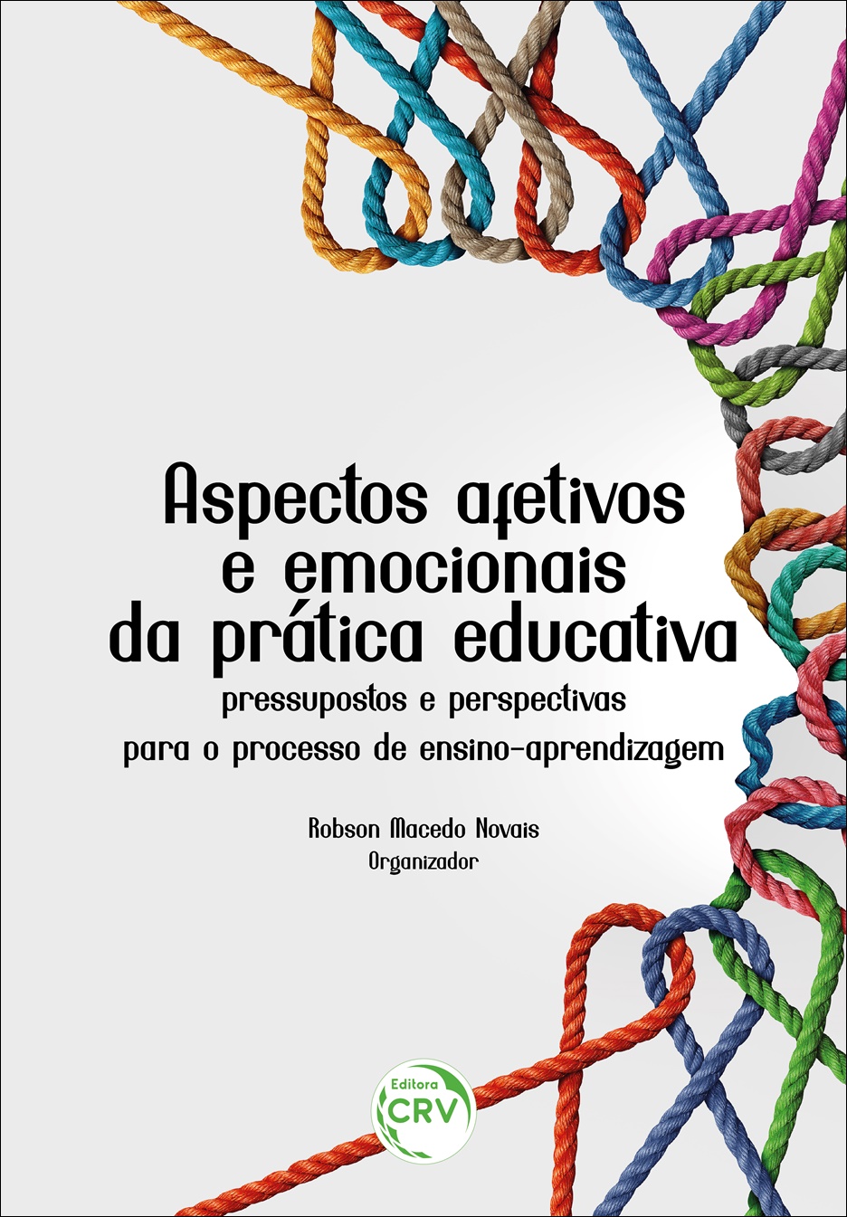 Capa do livro: ASPECTOS AFETIVOS E EMOCIONAIS DA PRÁTICA EDUCATIVA:<br> pressupostos e perspectivas para o processo de ensino-aprendizagem