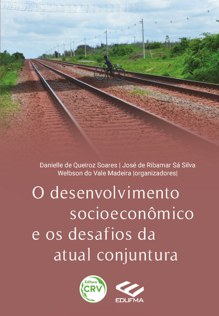 Capa do livro: O DESENVOLVIMENTO SOCIOECONÔMICO E OS DESAFIOS DA ATUAL CONJUNTURA
