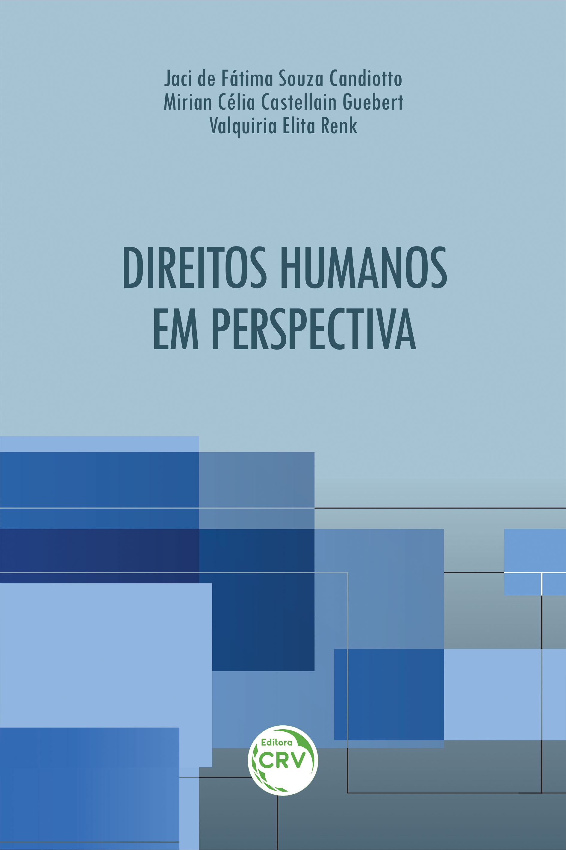 Capa do livro: DIREITOS HUMANOS EM PERSPECTIVA