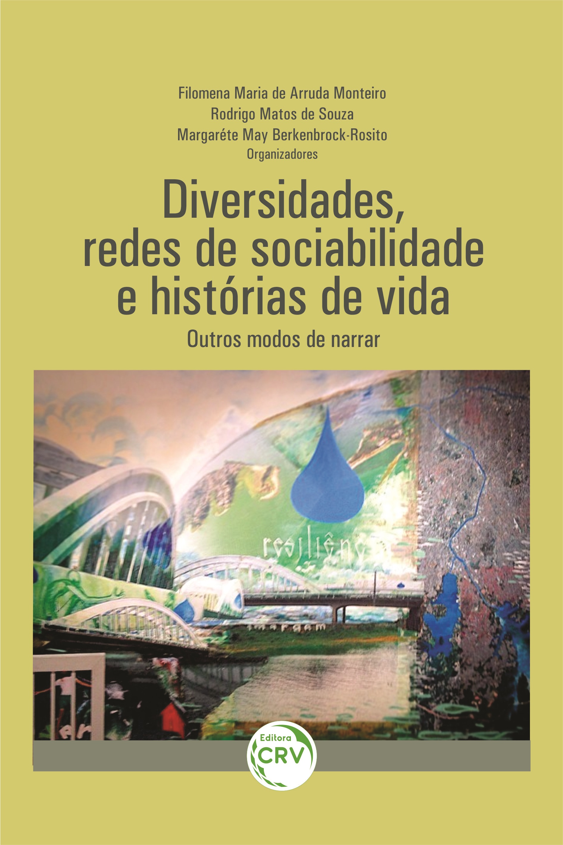 Capa do livro: DIVERSIDADES, REDES DE SOCIABILIDADE E HISTÓRIAS DE VIDA: <BR>OUTROS MODOS DE NARRAR