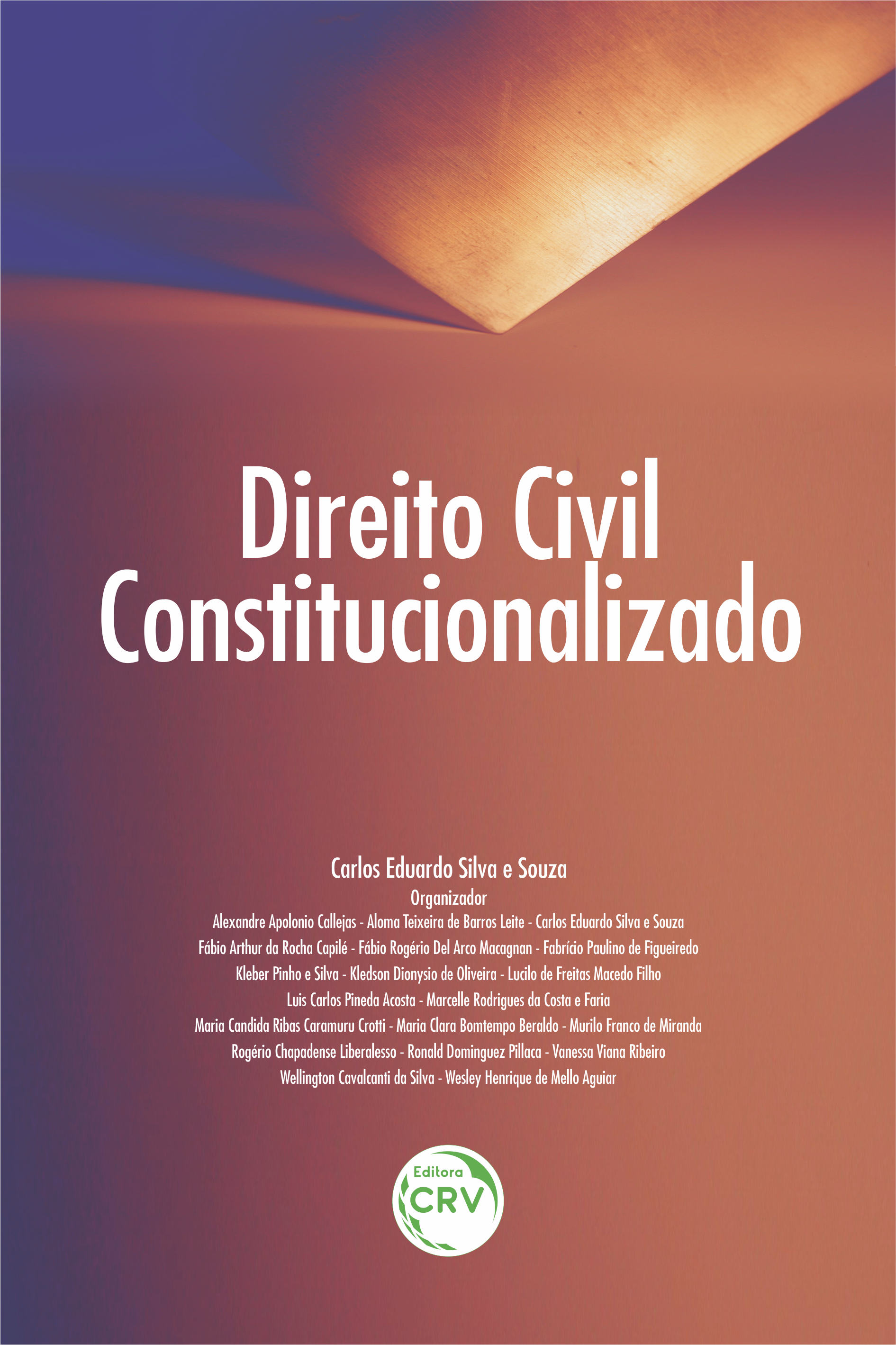 Capa do livro: DIREITO CIVIL CONSTITUCIONALIZADO