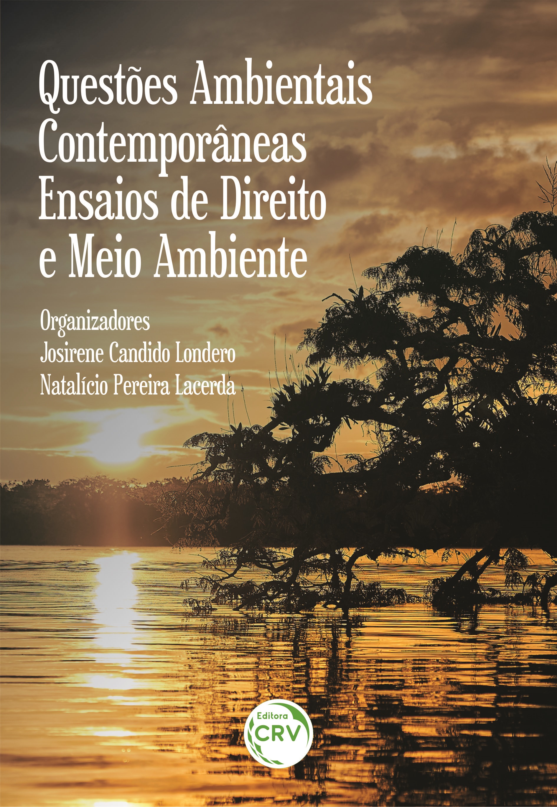 Capa do livro: QUESTÕES AMBIENTAIS CONTEMPORÂNEAS: <br>ensaios de direito e meio ambiente