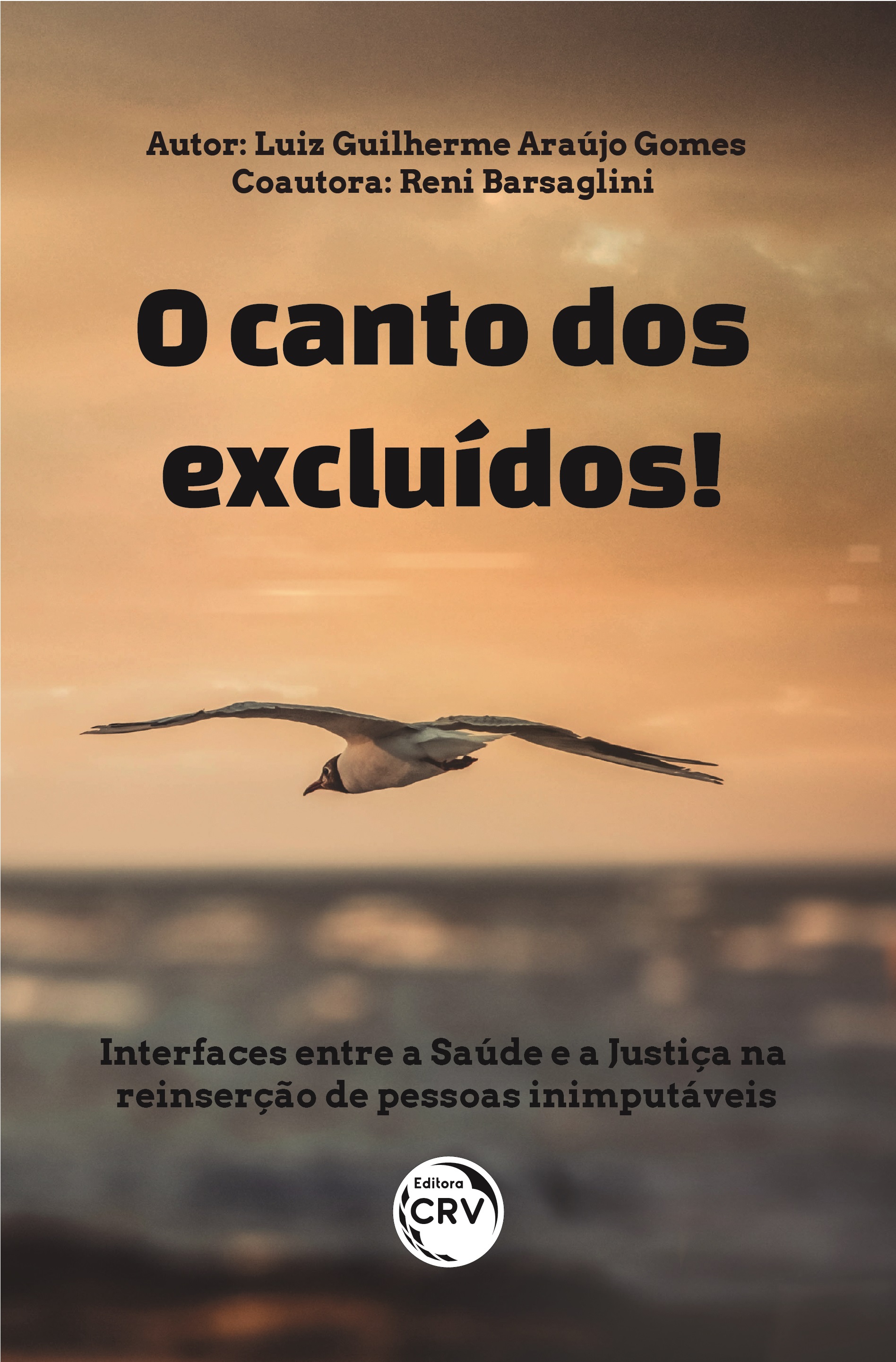 Capa do livro: O CANTO DOS EXCLUÍDOS! INTERFACES ENTRE A SAÚDE E A JUSTIÇA NA REINSERÇÃO DE PESSOAS INIMPUTÁVEIS