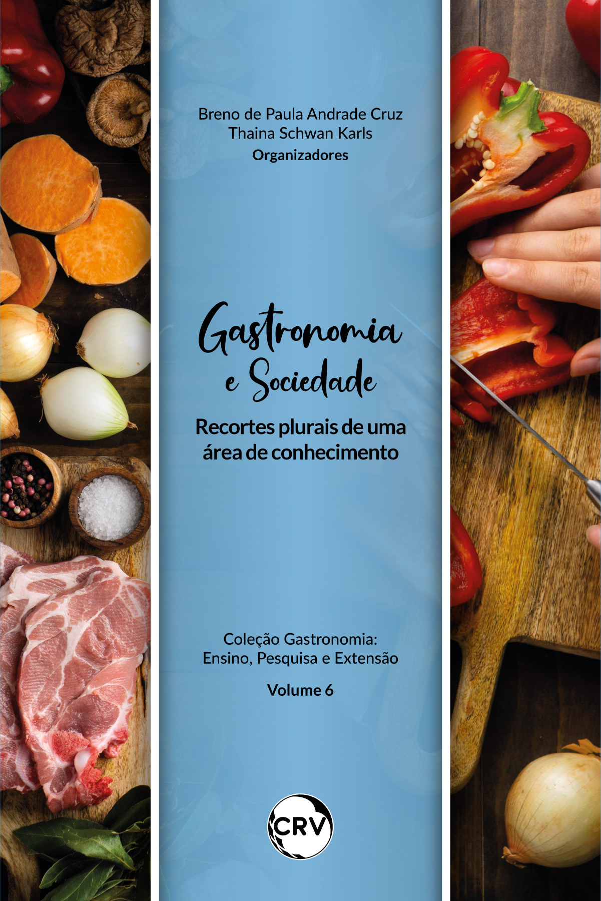 Capa do livro: Gastronomia e sociedade:<BR> Recortes plurais de uma área de conhecimento - Vol.: 06 