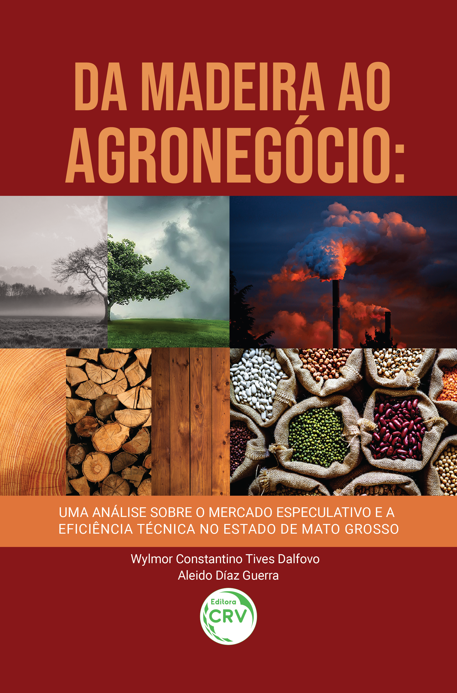 Capa do livro: DA MADEIRA AO AGRONEGÓCIO: <br> uma análise sobre o mercado especulativo e a eficiência técnica no estado de Mato Grosso