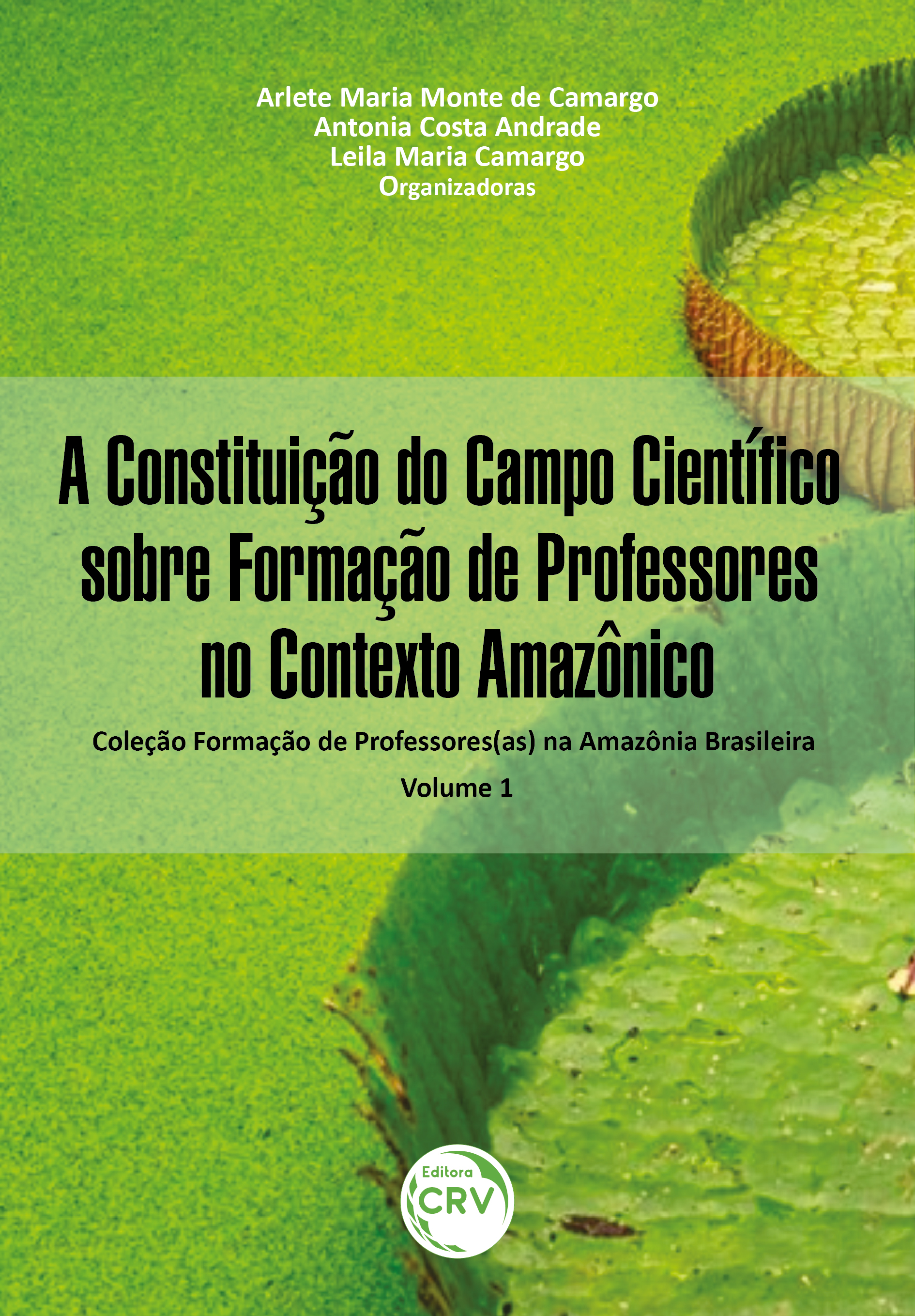 Capa do livro: A CONSTITUIÇÃO DO CAMPO CIENTÍFICO SOBRE FORMAÇÃO DE PROFESSORES NO CONTEXTO AMAZÔNICO <br>Coleção Formação de Professores(as) na Amazônia Brasileira<br> Volume 1