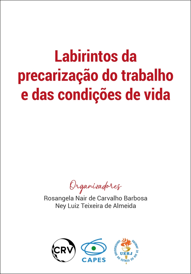 Capa do livro: LABIRINTOS DA PRECARIZAÇÃO DO TRABALHO E DAS CONDIÇÕES DE VIDA