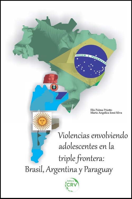 Capa do livro: VIOLENCIAS ENVOLVIENDO ADOLESCENTES EN LA TRIPLE FRONTERA:<br>Brasil, Argentina y Paraguay