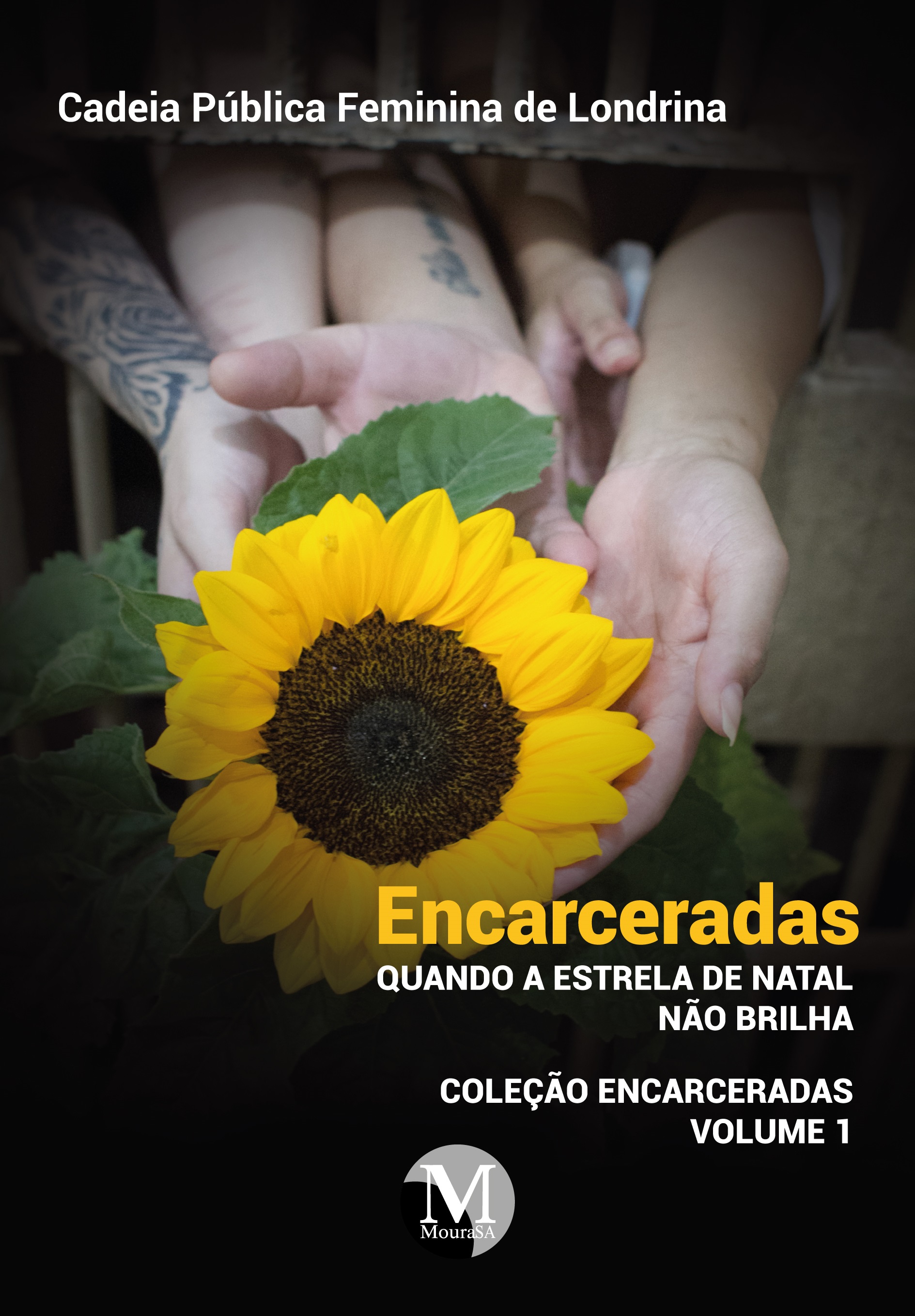 Capa do livro: ENCARCERADAS: <br>quando a estrela de Natal não brilha<br> Coleção Encarceradas<br> Volume 1