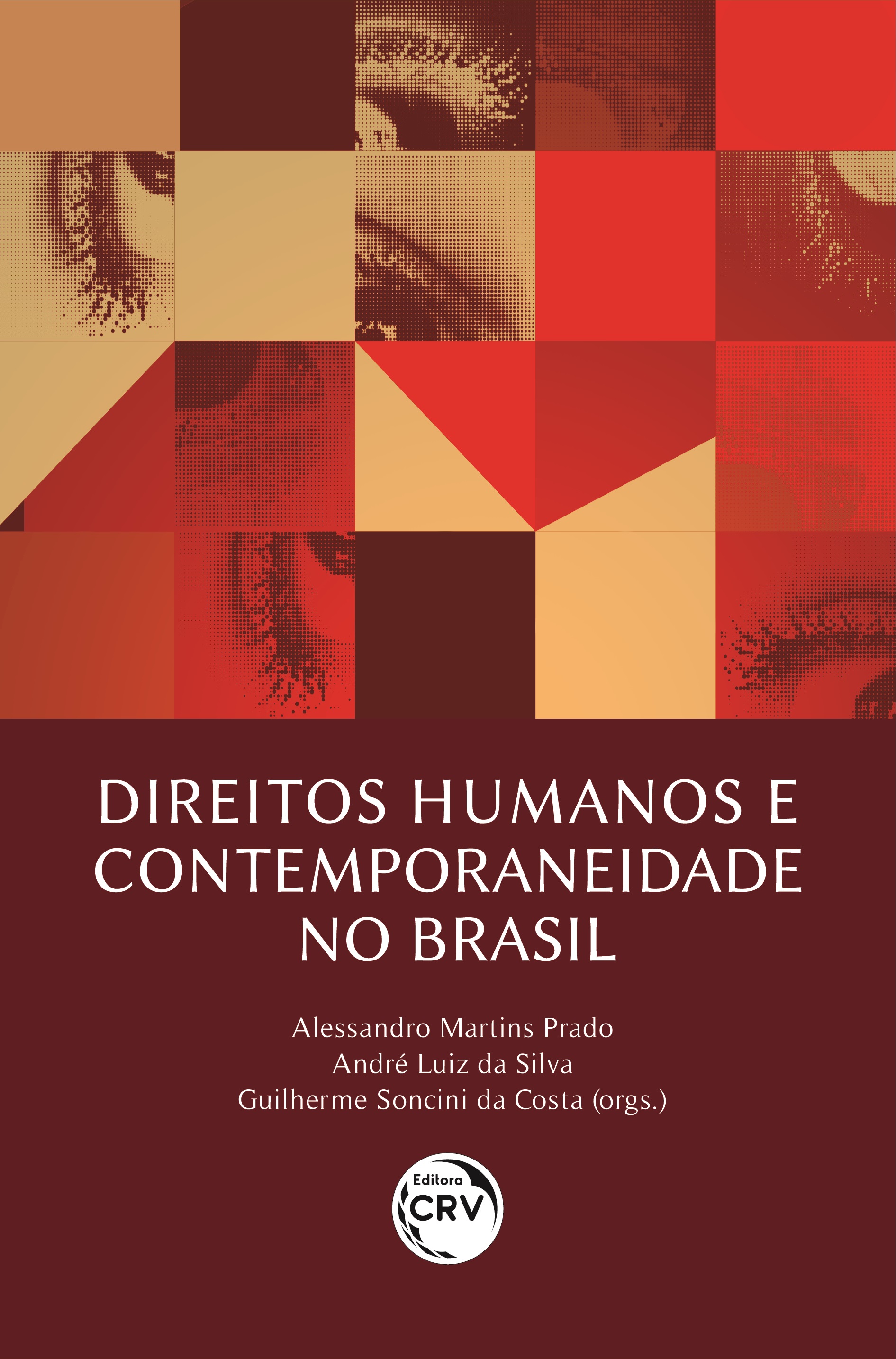 Capa do livro: DIREITOS HUMANOS E CONTEMPORANEIDADE NO BRASIL