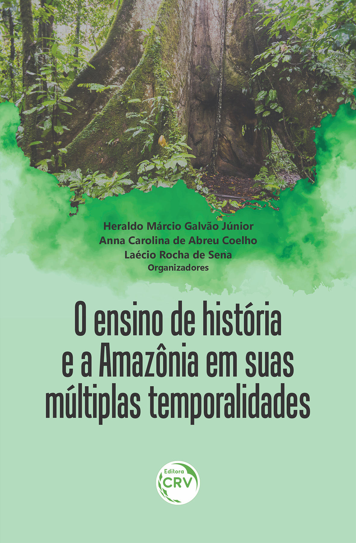Capa do livro: O ENSINO DE HISTÓRIA E A AMAZÔNIA EM SUAS MÚLTIPLAS TEMPORALIDADES