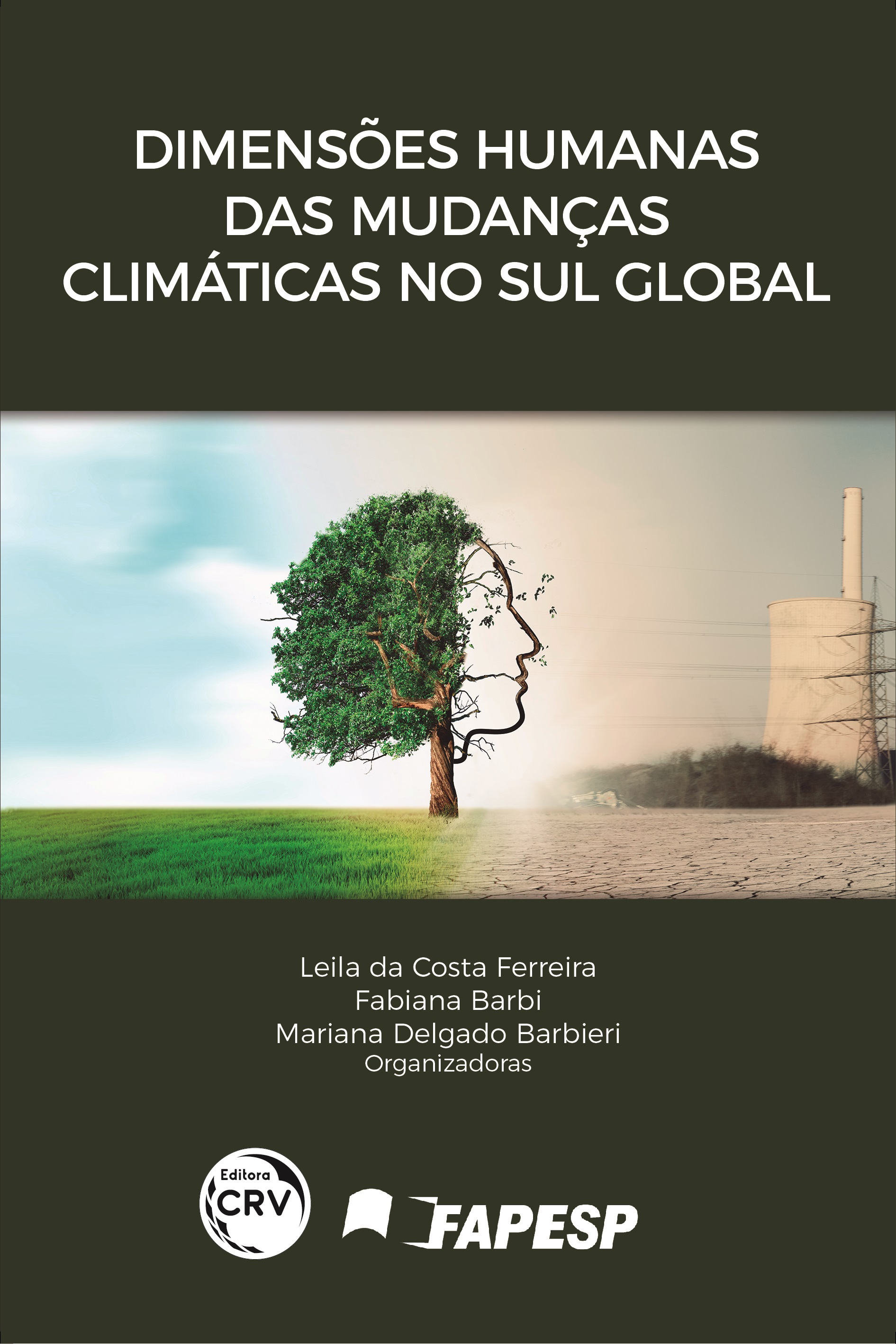 Capa do livro: DIMENSÕES HUMANAS DAS MUDANÇAS CLIMÁTICAS NO SUL GLOBAL