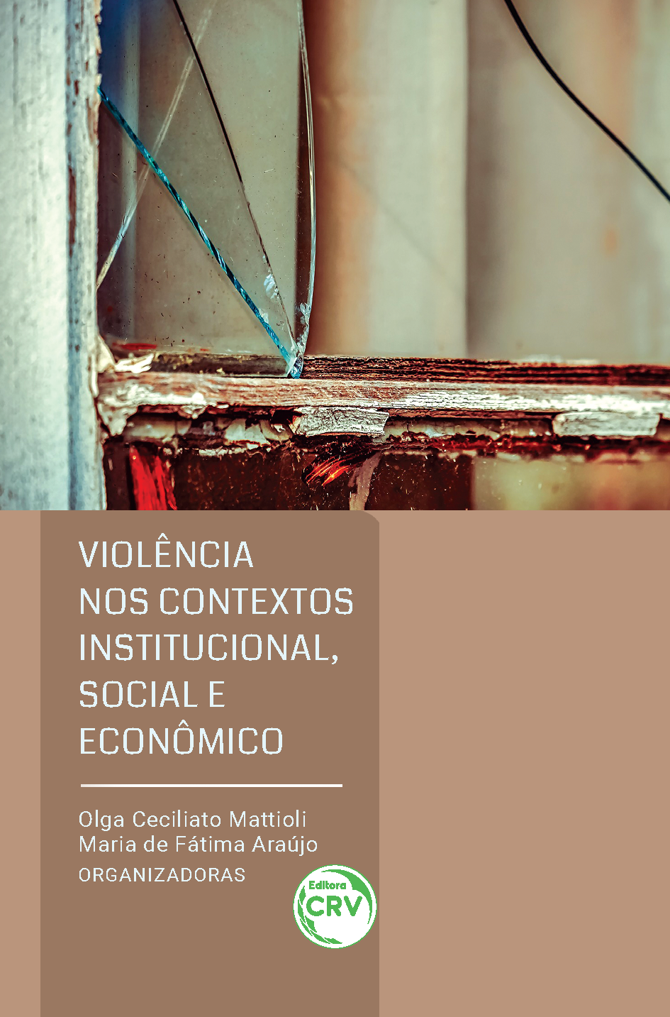 Capa do livro: VIOLÊNCIA NOS CONTEXTOS INSTITUCIONAL, SOCIAL E ECONÔMICO